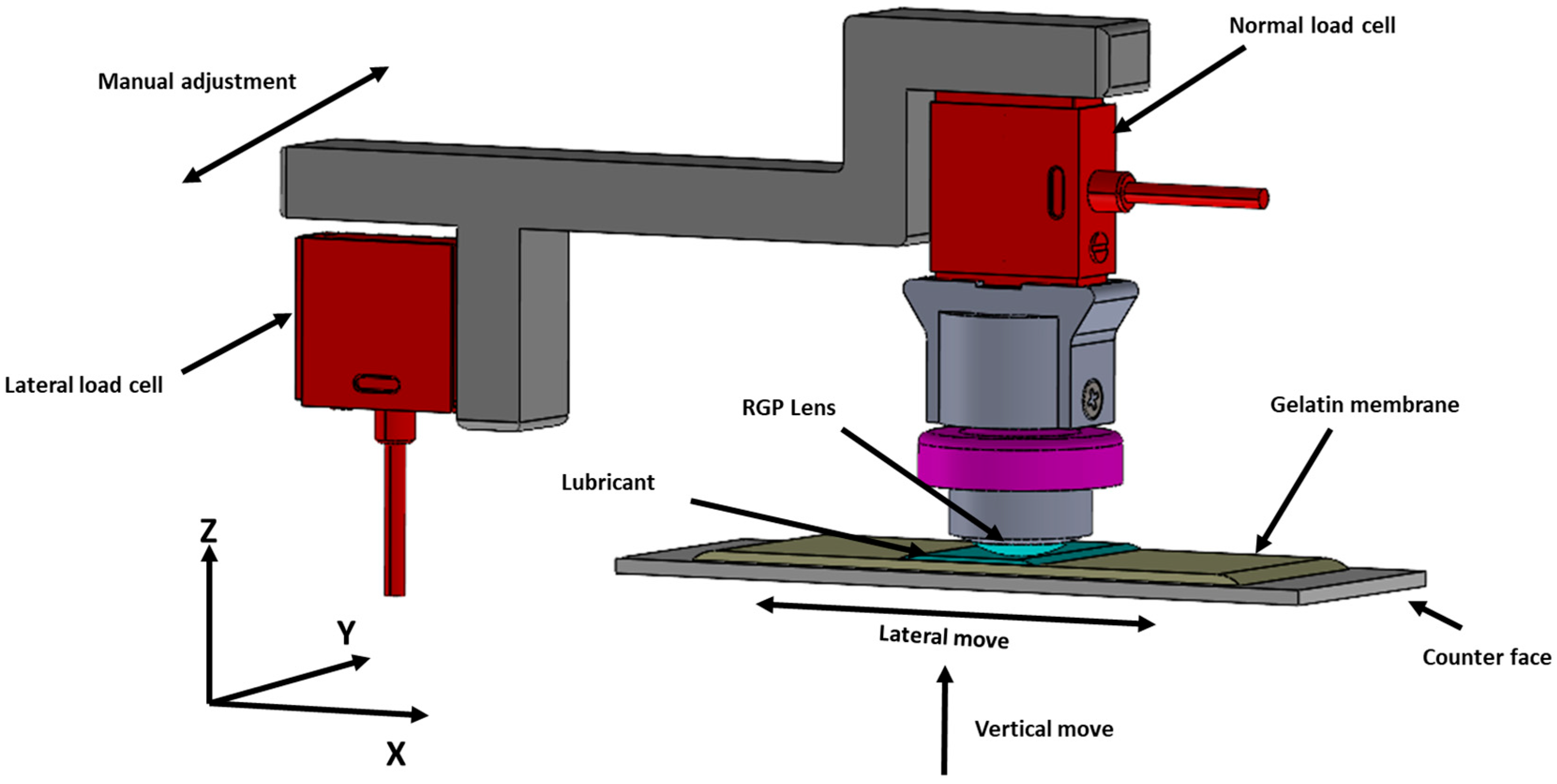 Lubricants 13 00256 g003