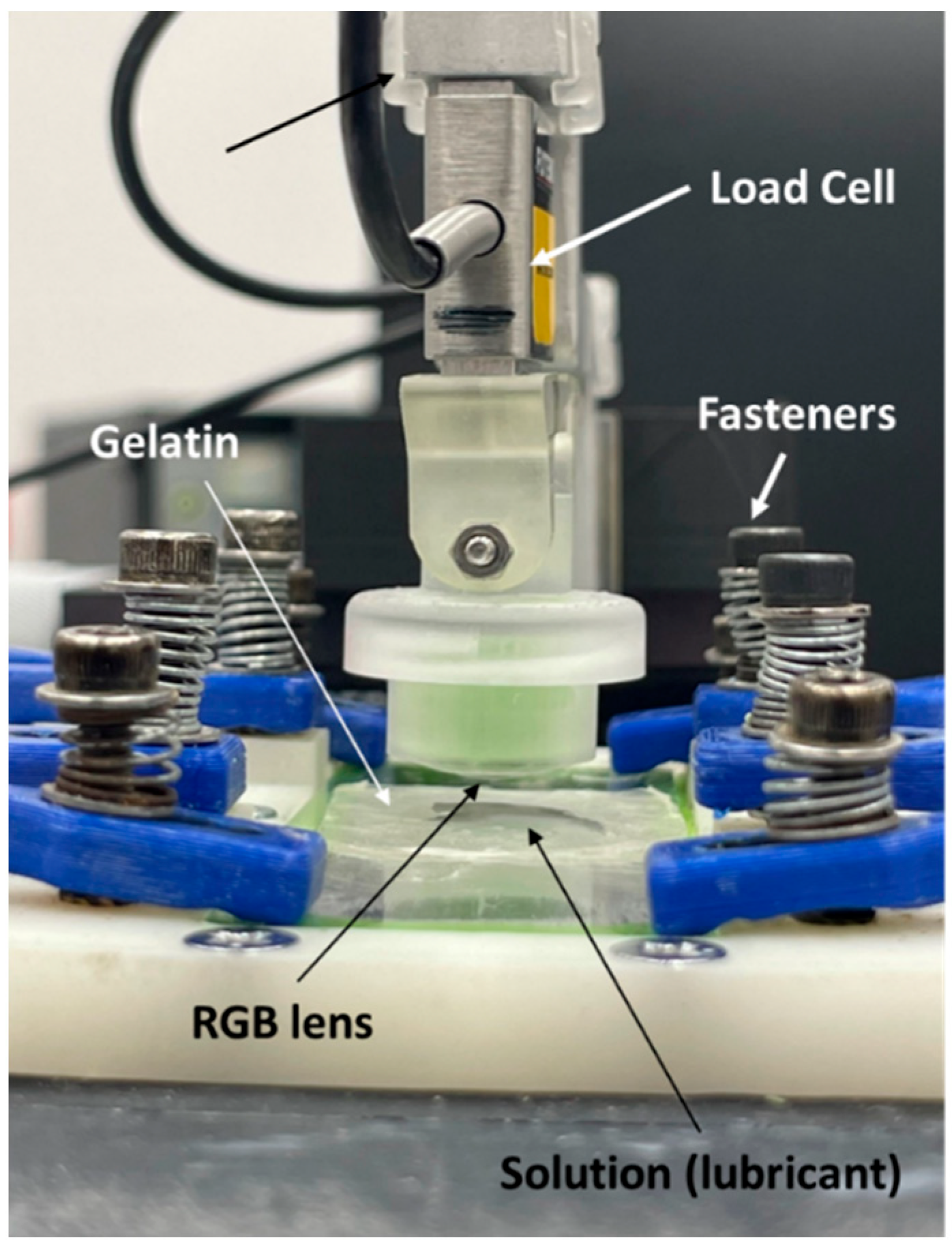 Lubricants 13 00256 g004
