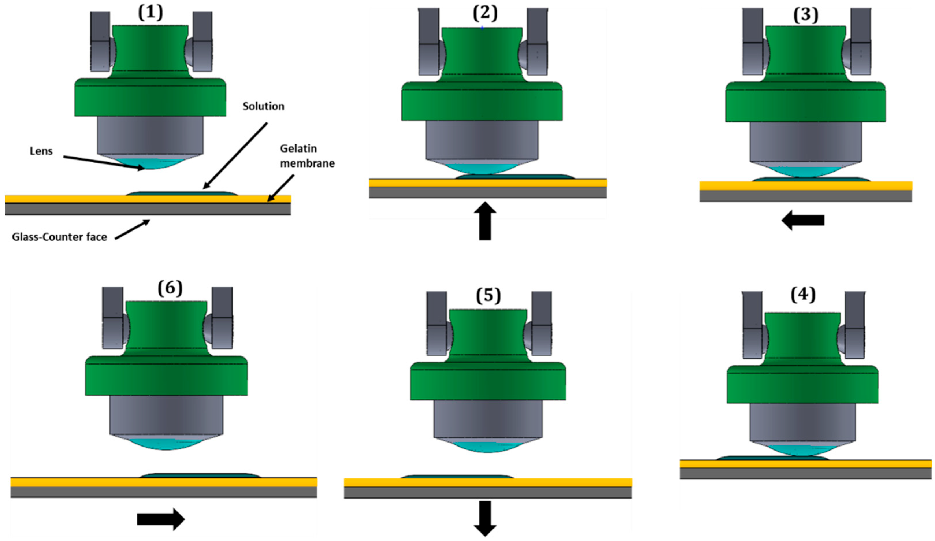 Lubricants 13 00256 g005