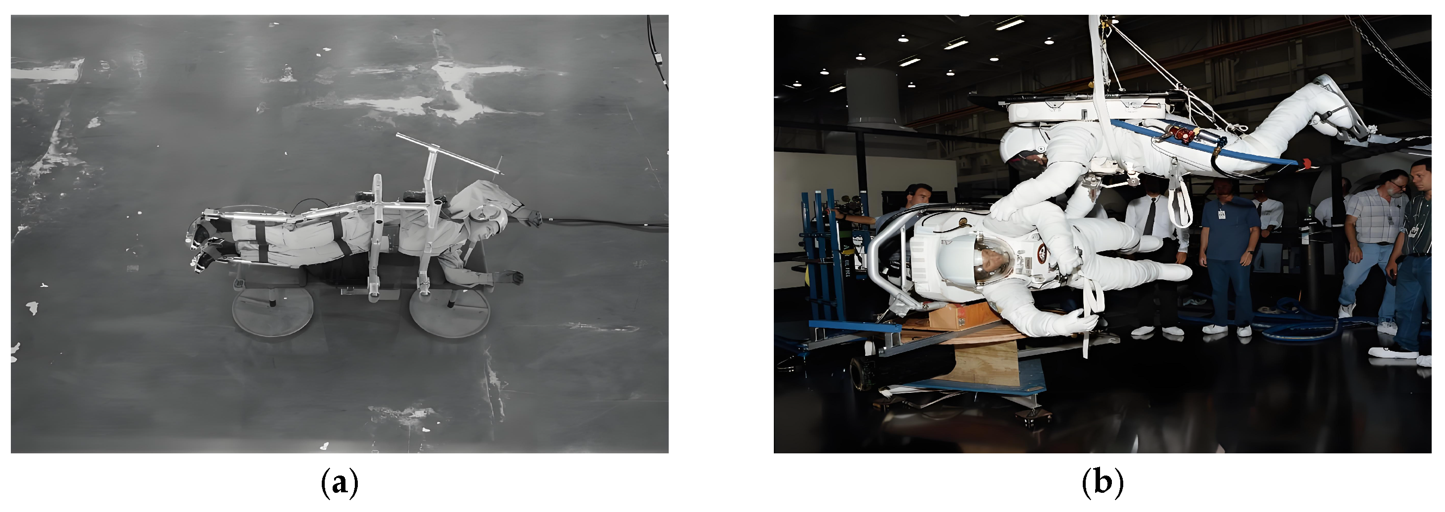 Lubricants 13 00258 g031