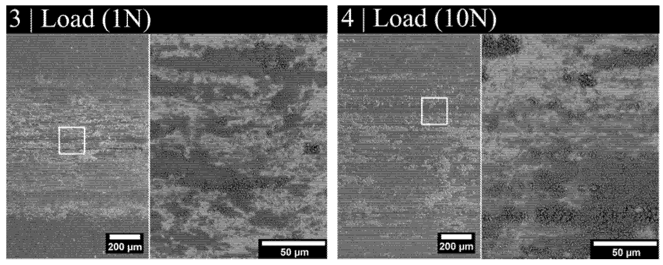 Lubricants 13 00264 g013
