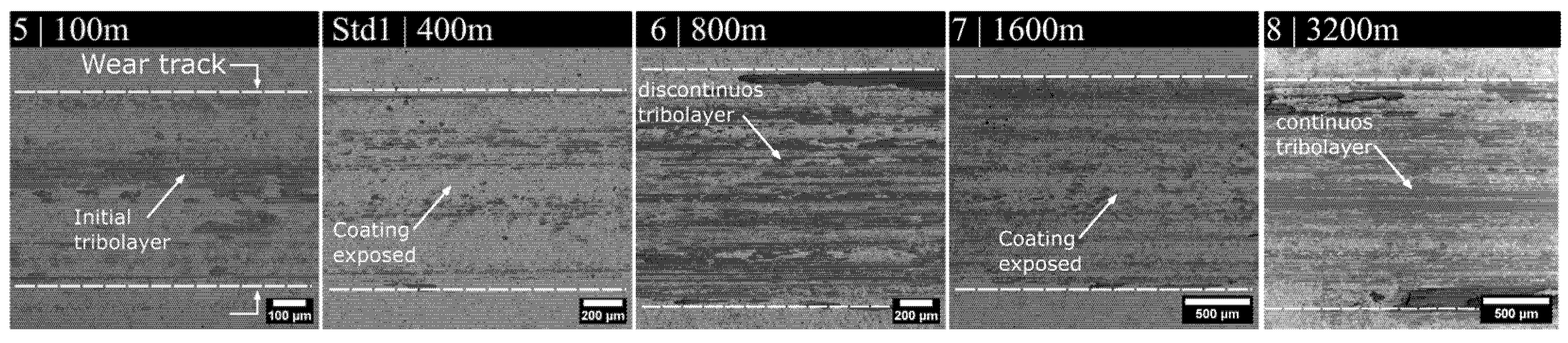 Lubricants 13 00264 g014