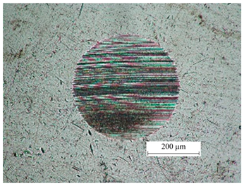 Lubricants 13 00268 i003 Lubricants 13 00268 i003