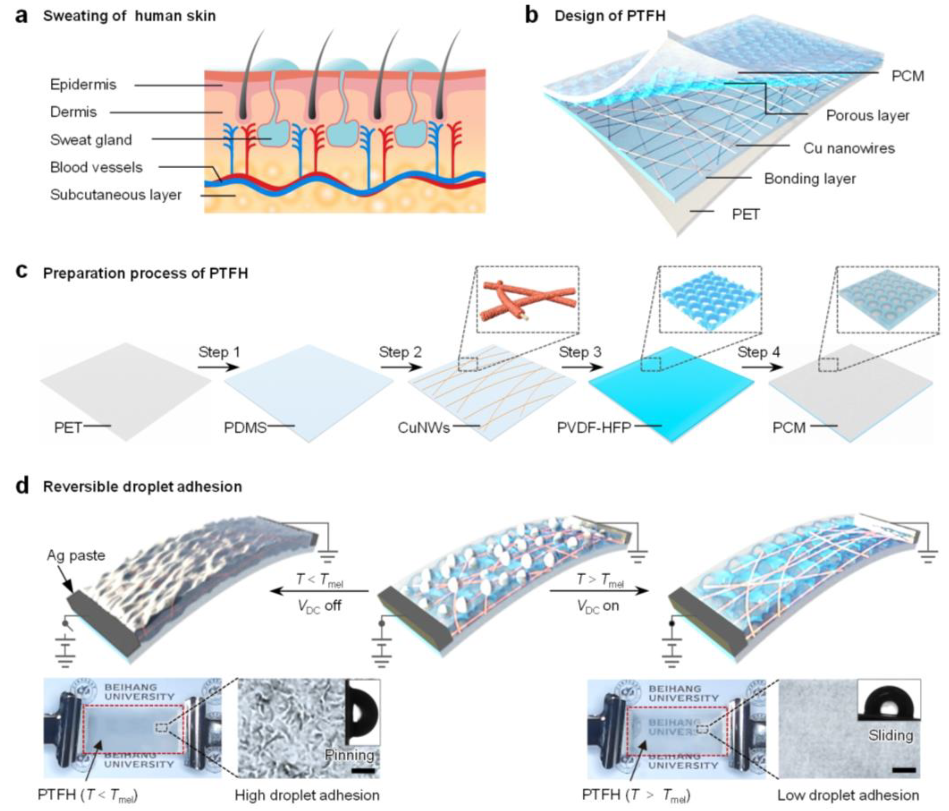 Lubricants 13 00272 g001