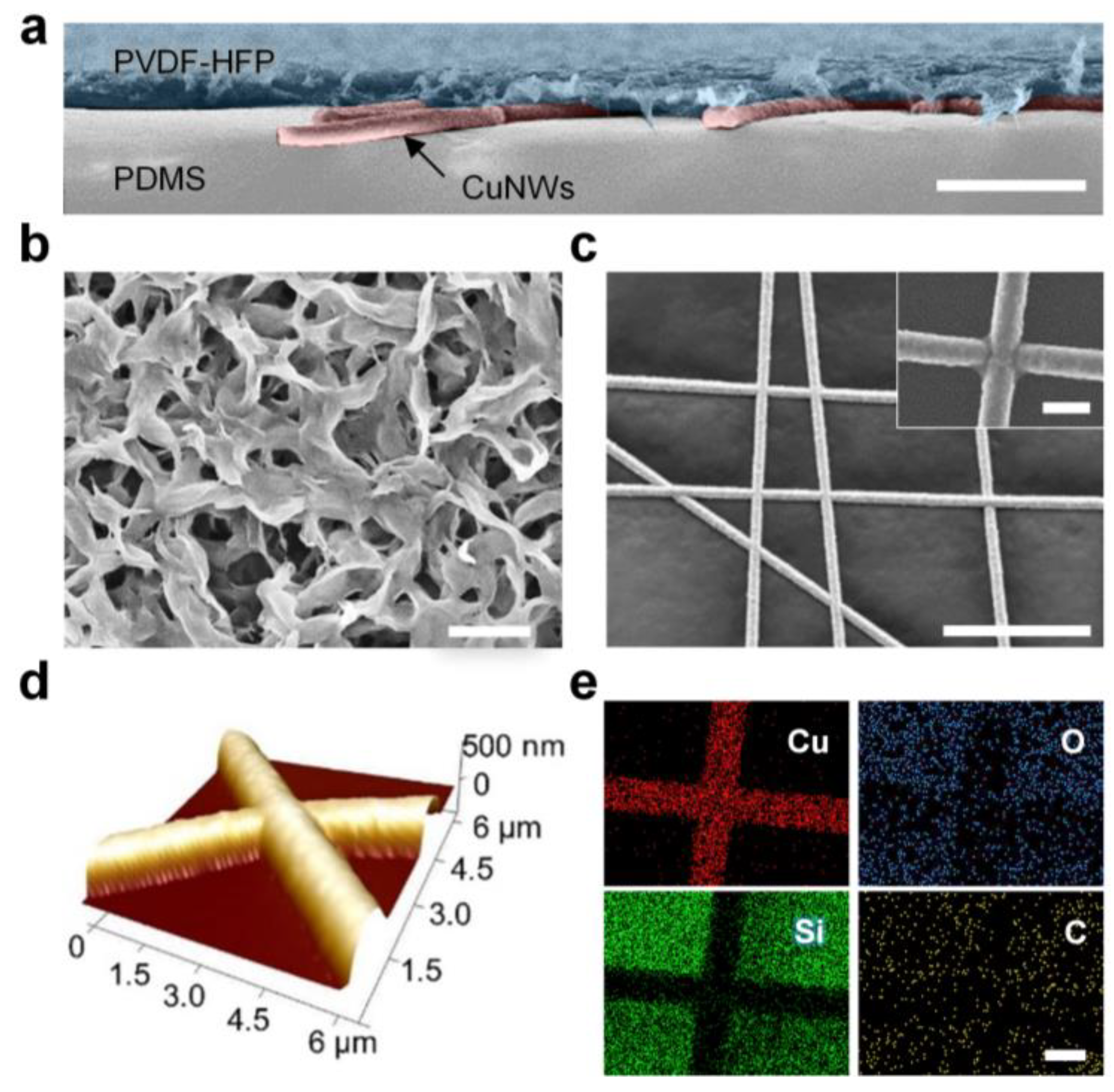 Lubricants 13 00272 g002