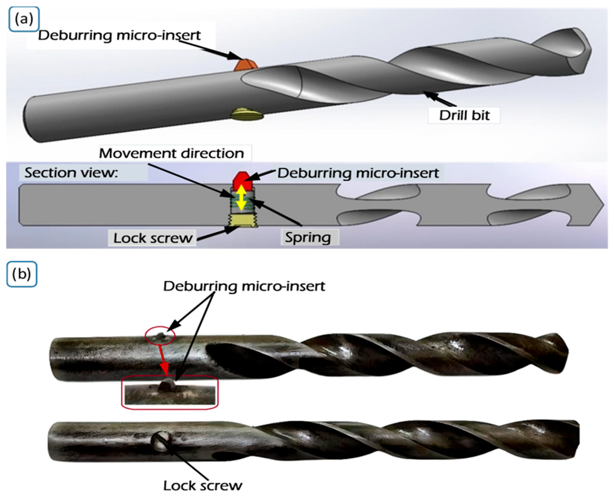 Lubricants 13 00273 g002
