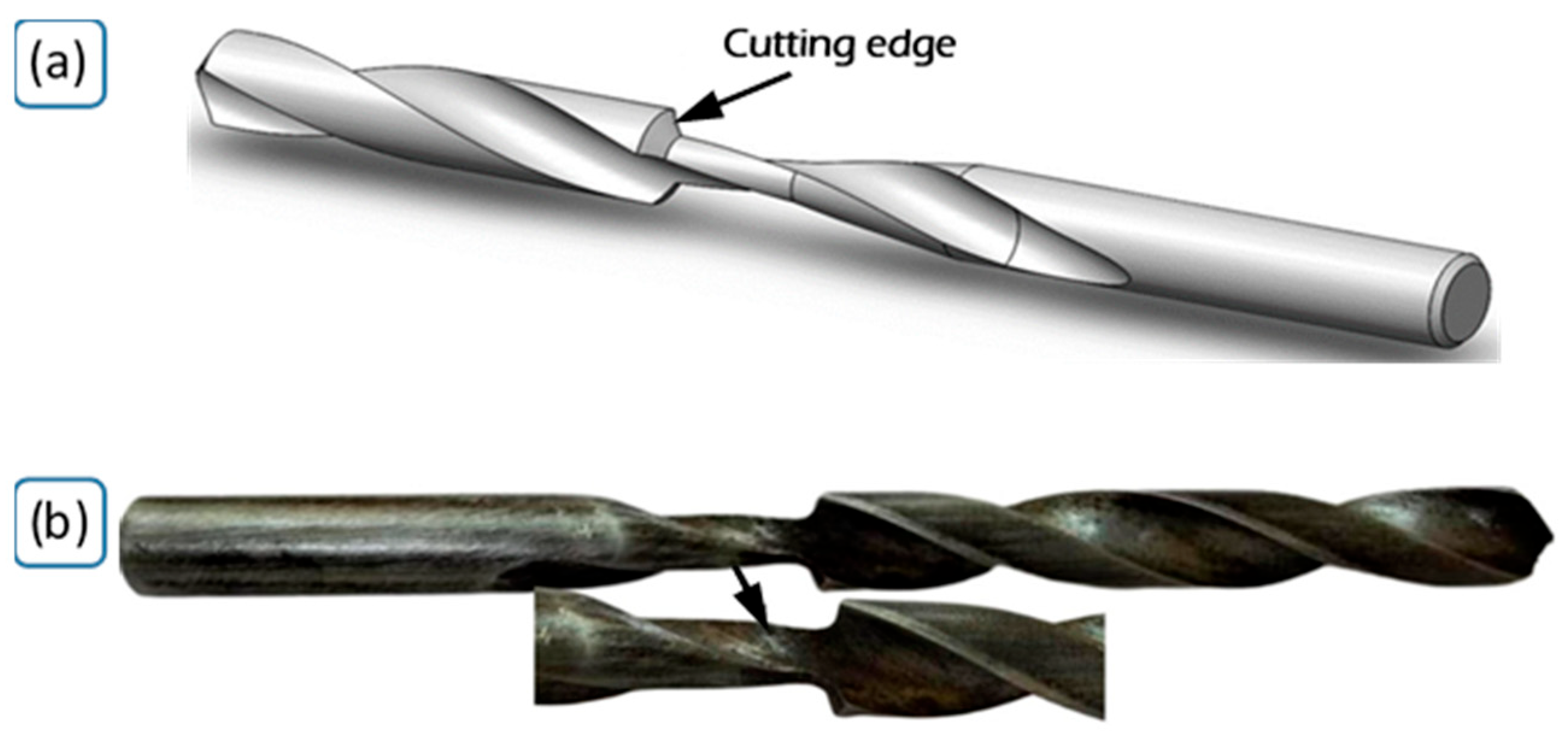 Lubricants 13 00273 g004
