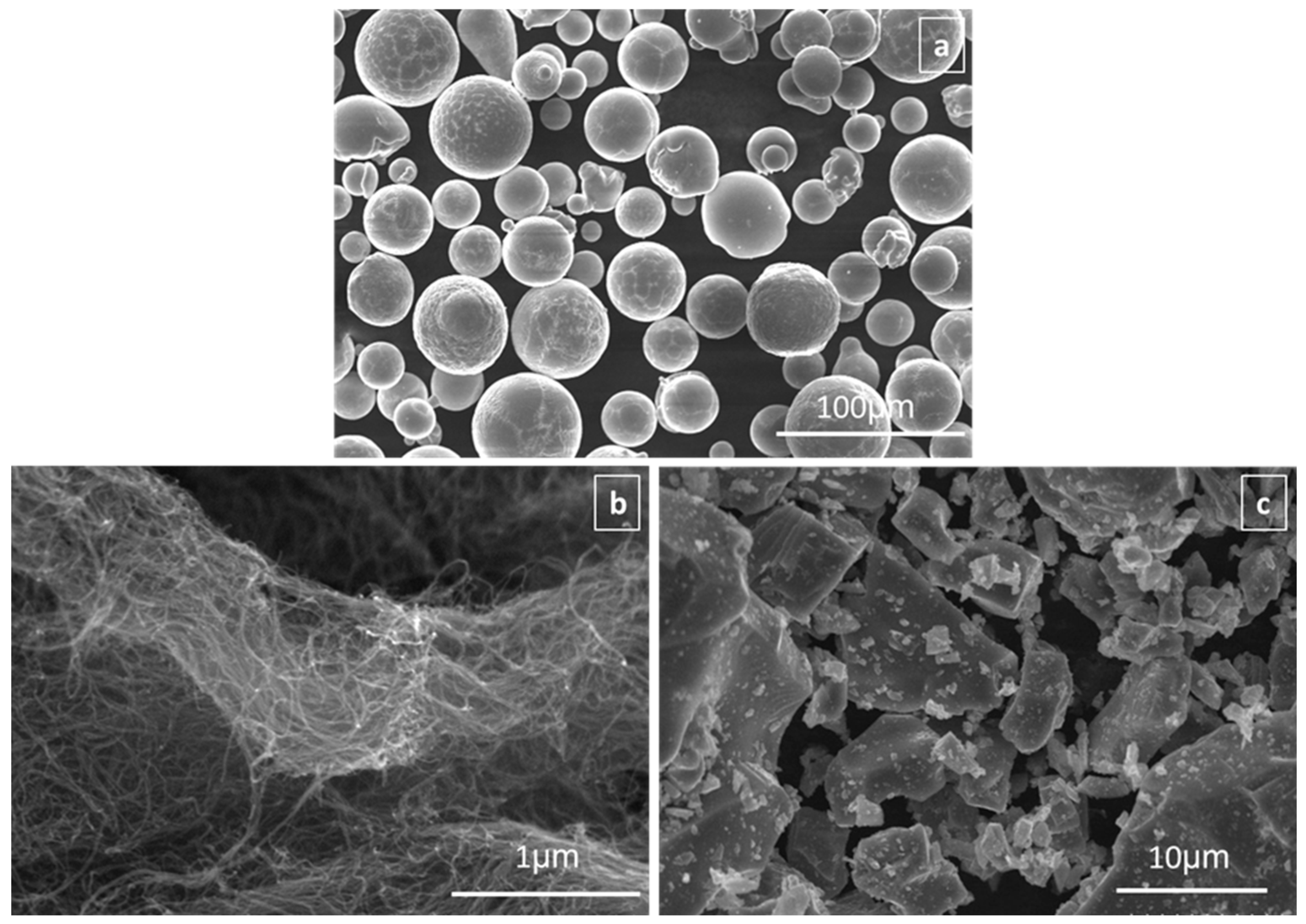 Lubricants 13 00276 g001