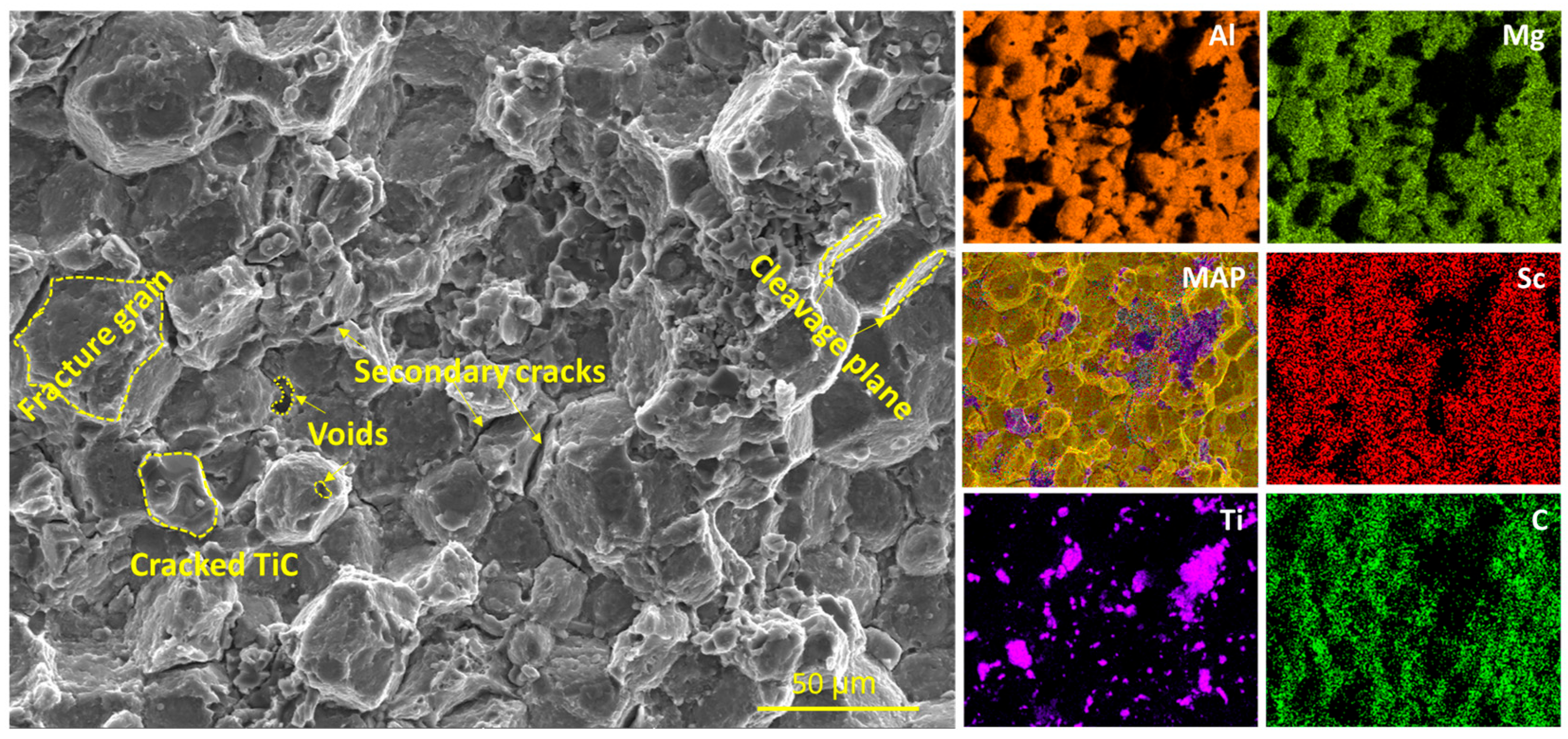 Lubricants 13 00276 g009