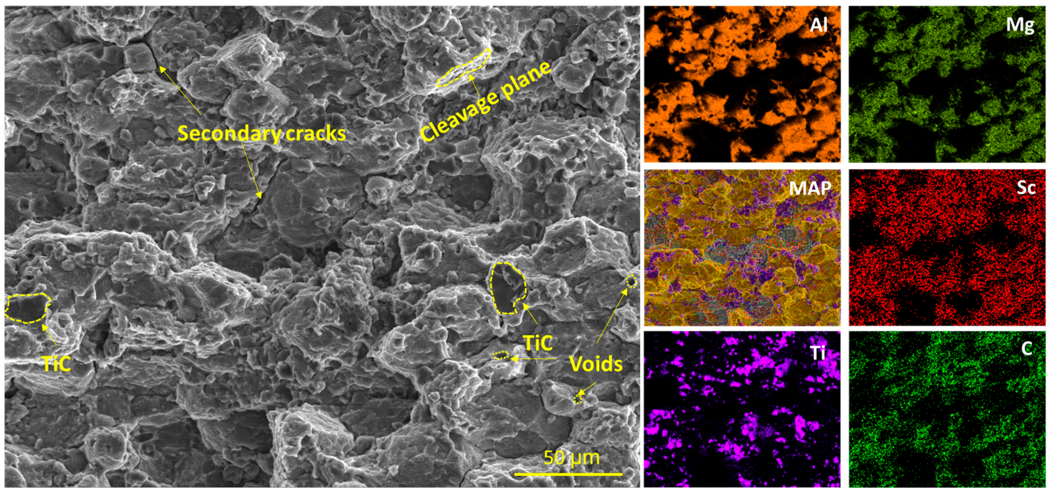 Lubricants 13 00276 g010