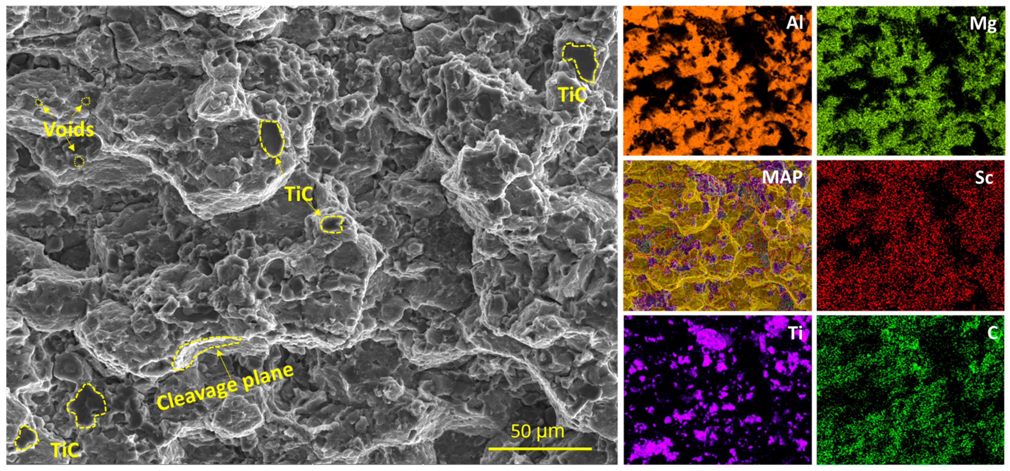 Lubricants 13 00276 g011