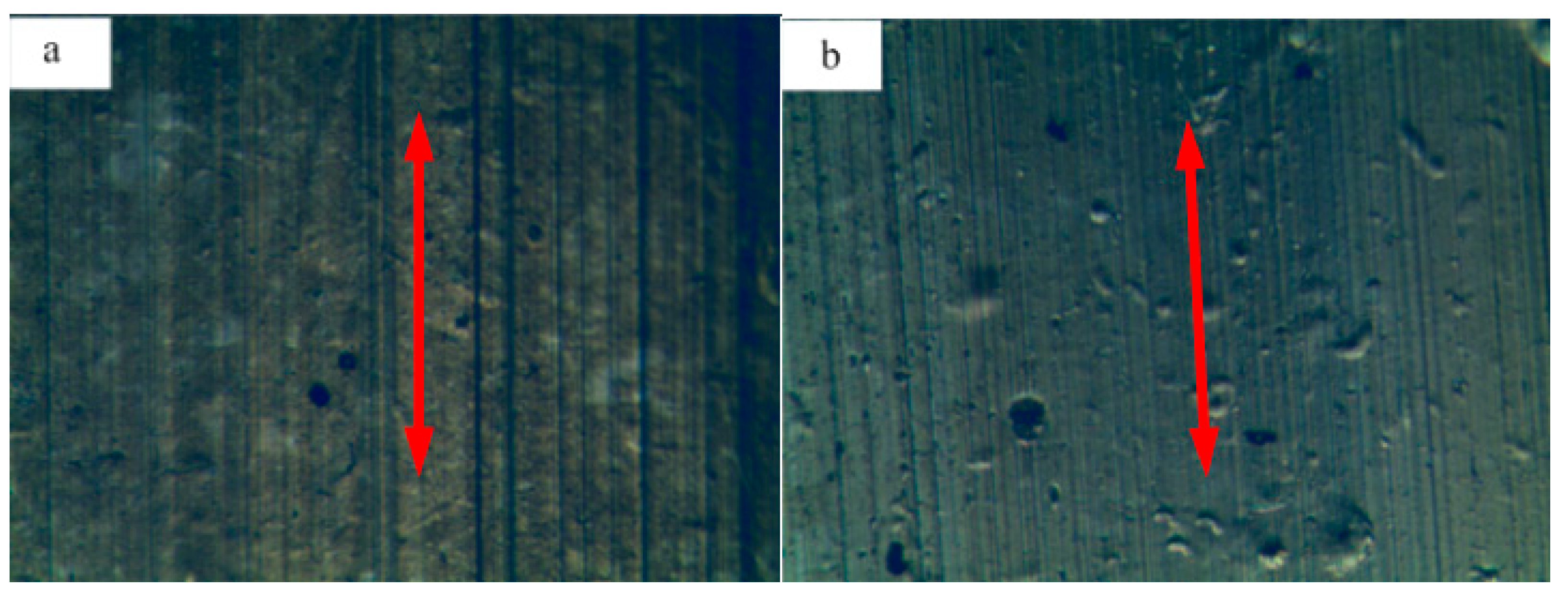 Lubricants 13 00280 g008