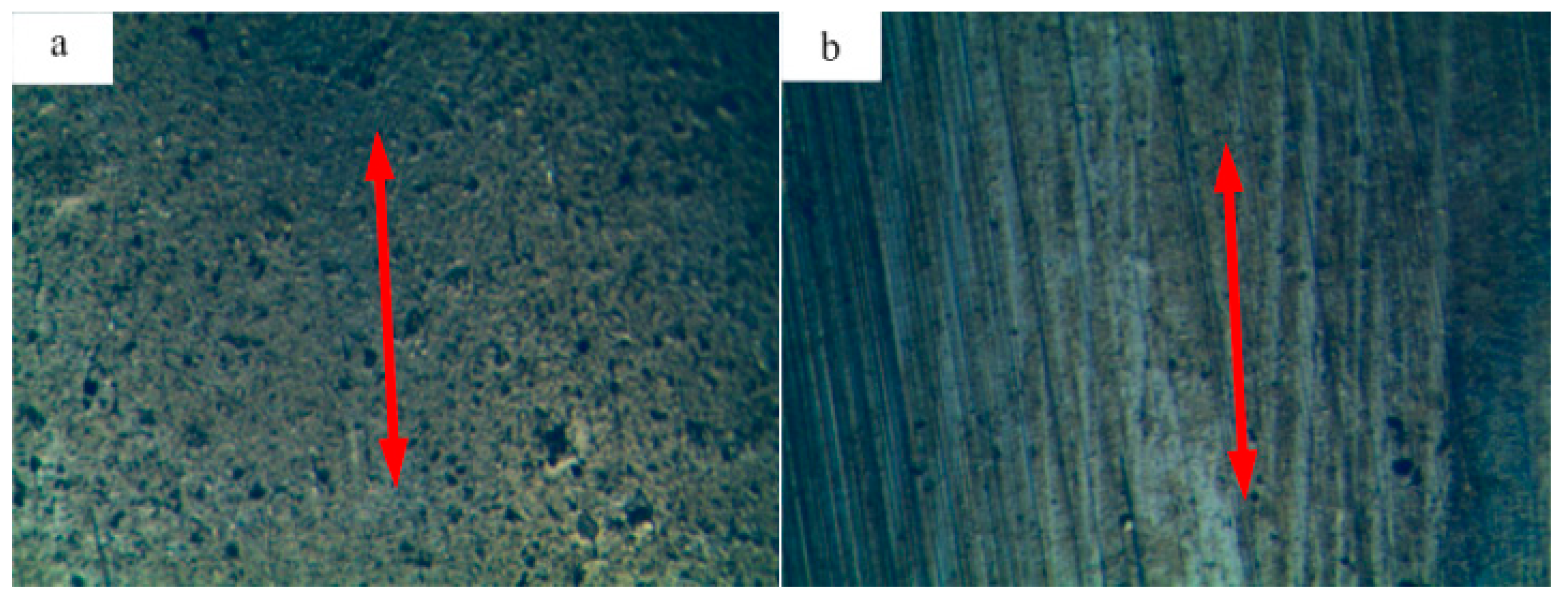 Lubricants 13 00280 g009