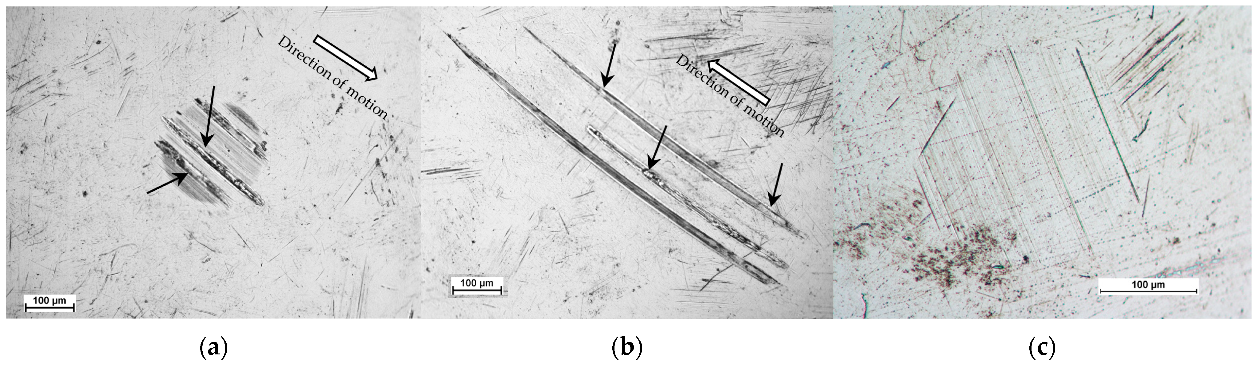 Lubricants 13 00284 g011