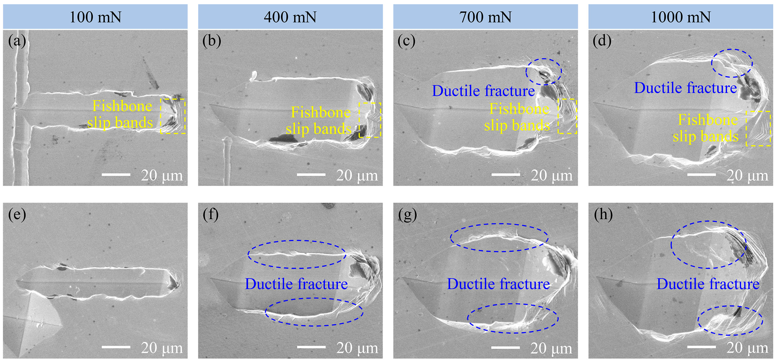 Lubricants 13 00286 g004
