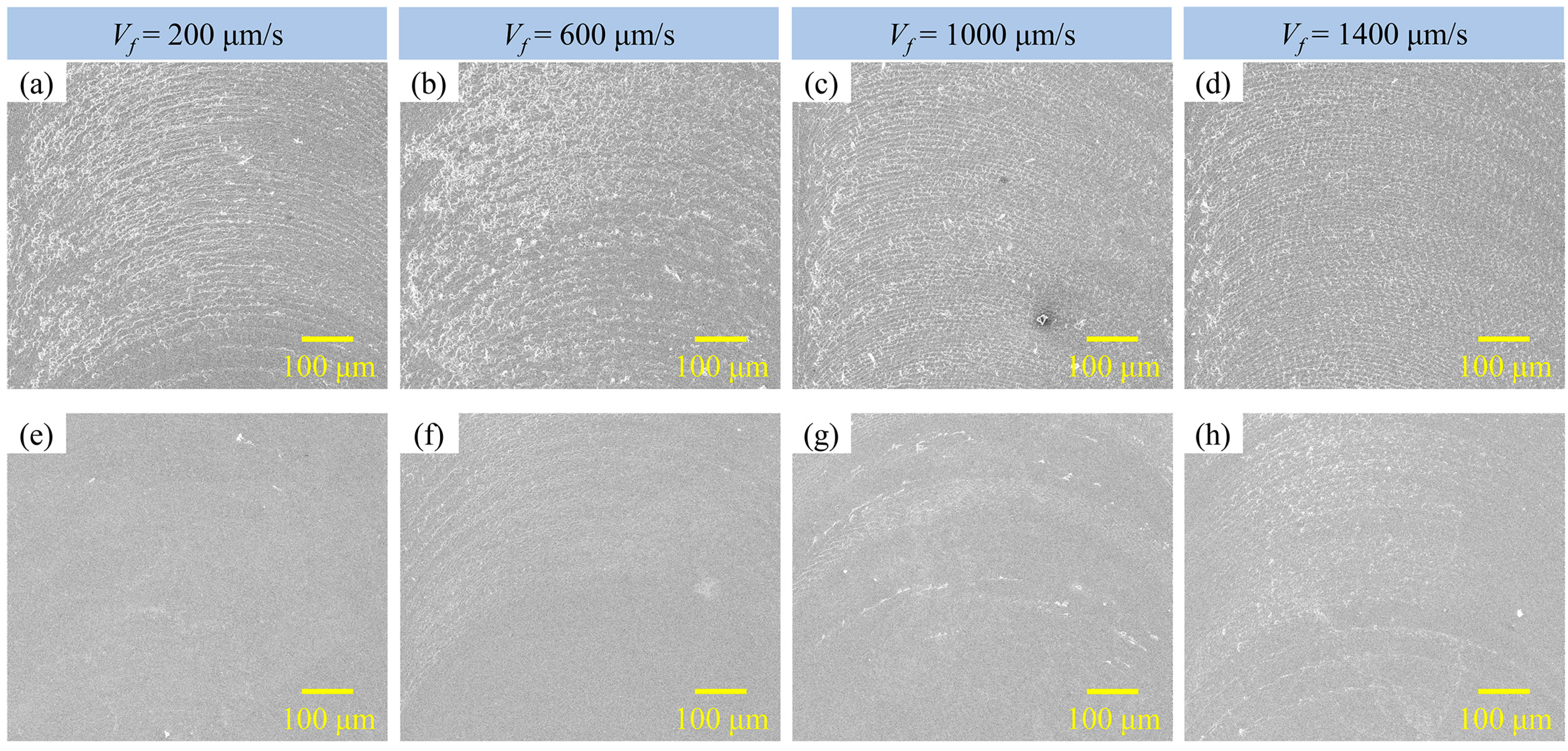 Lubricants 13 00286 g011