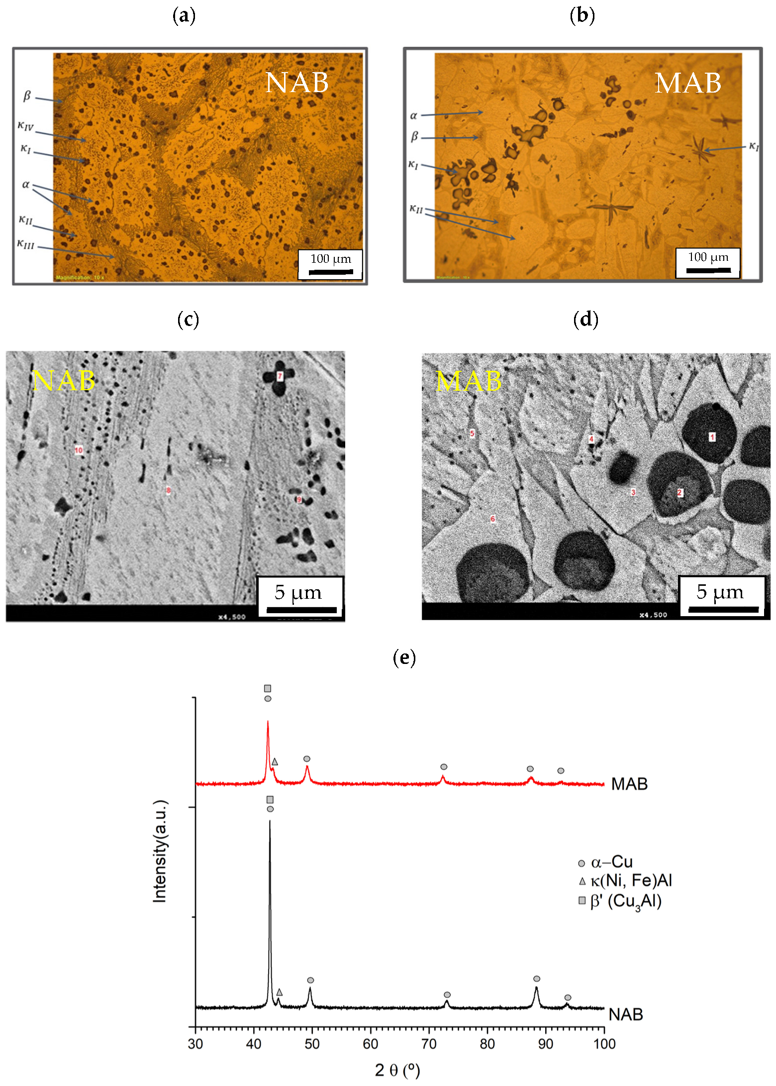 Lubricants 13 00290 g002