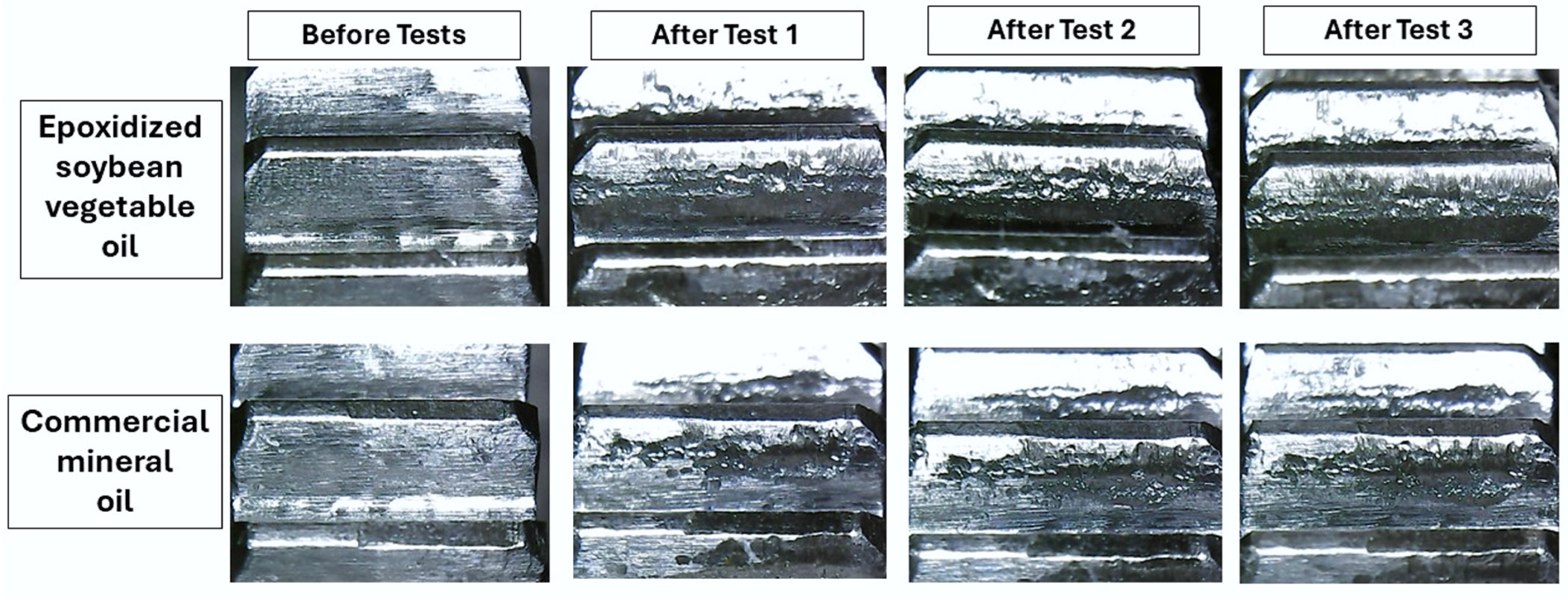Lubricants 13 00292 g007