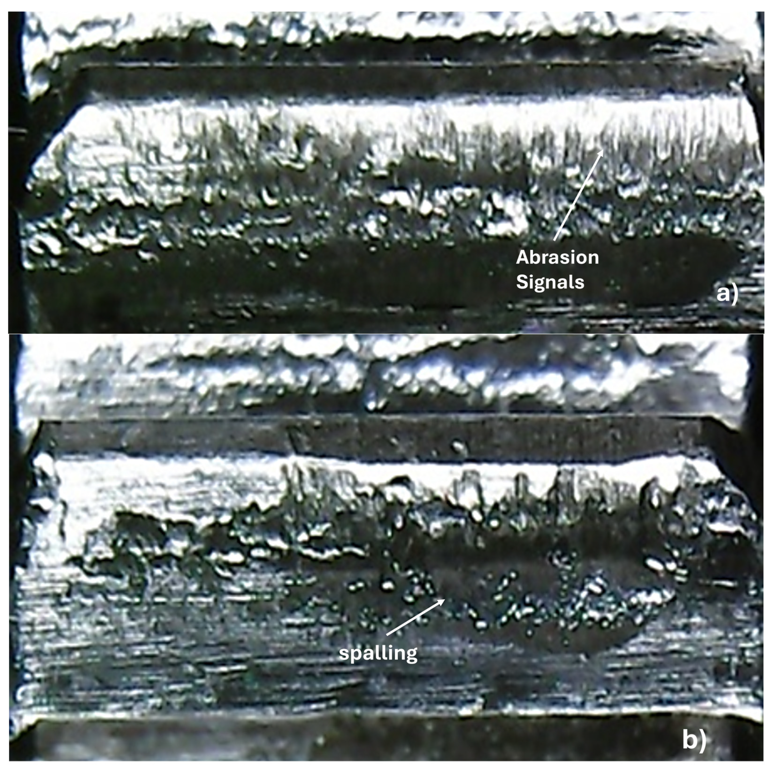 Lubricants 13 00292 g008