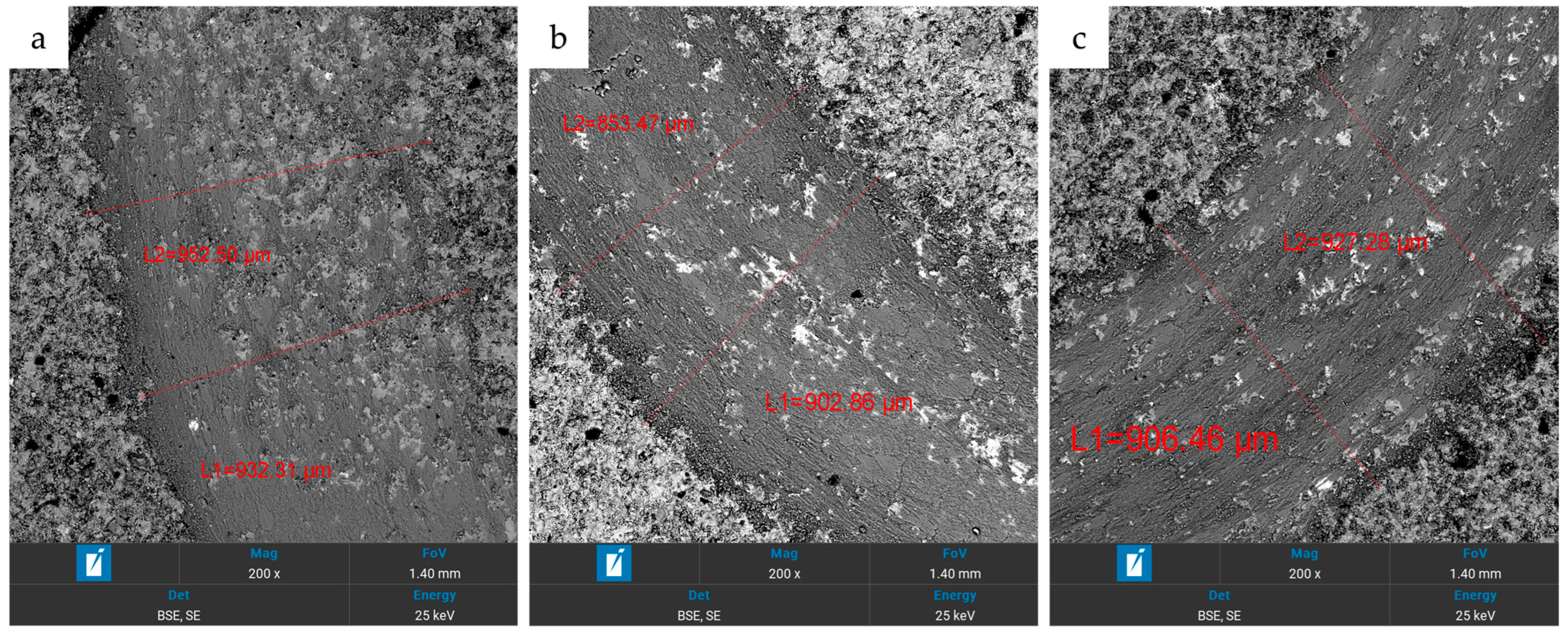 Lubricants 13 00297 g010