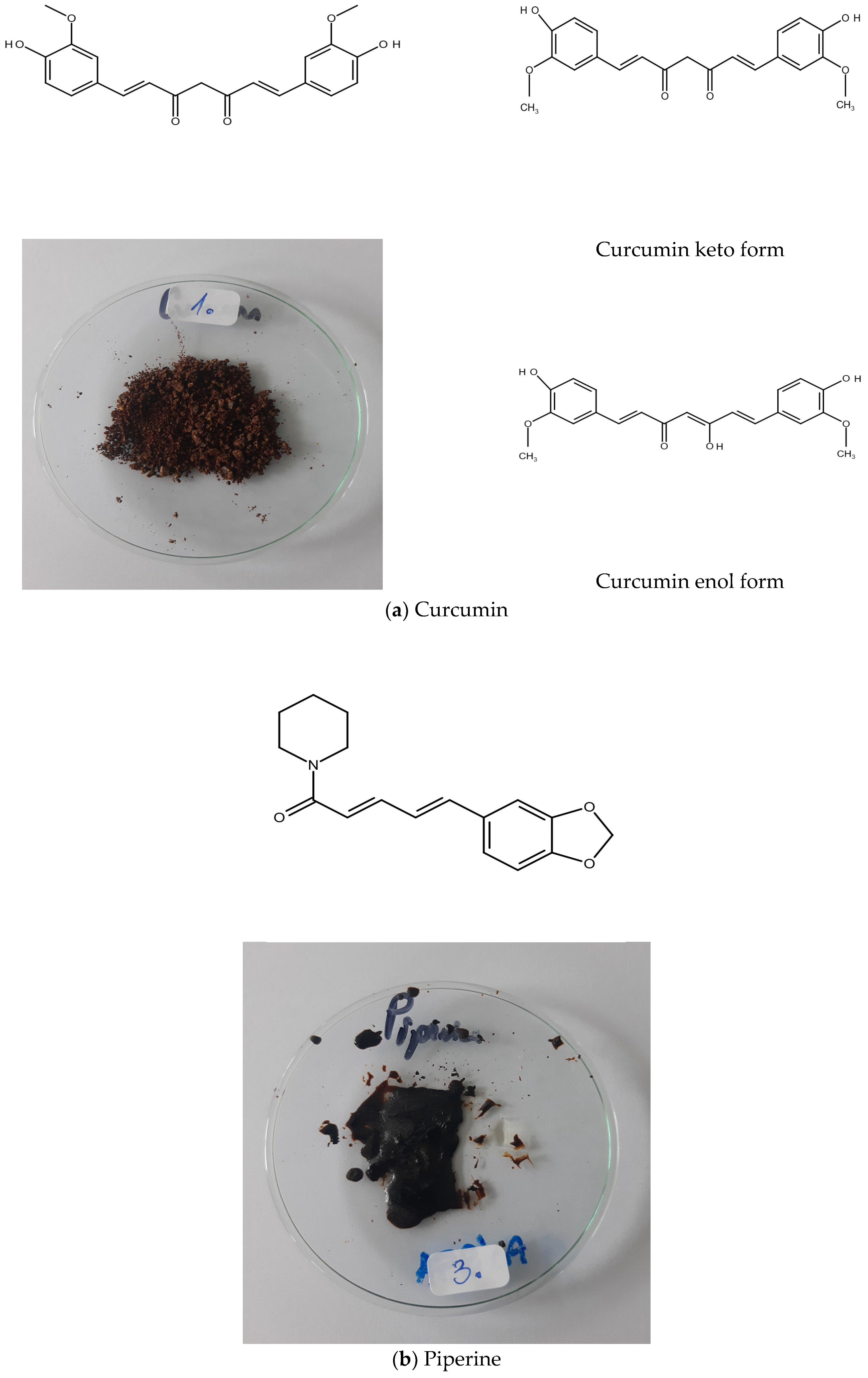 Lubricants 13 00302 g001a