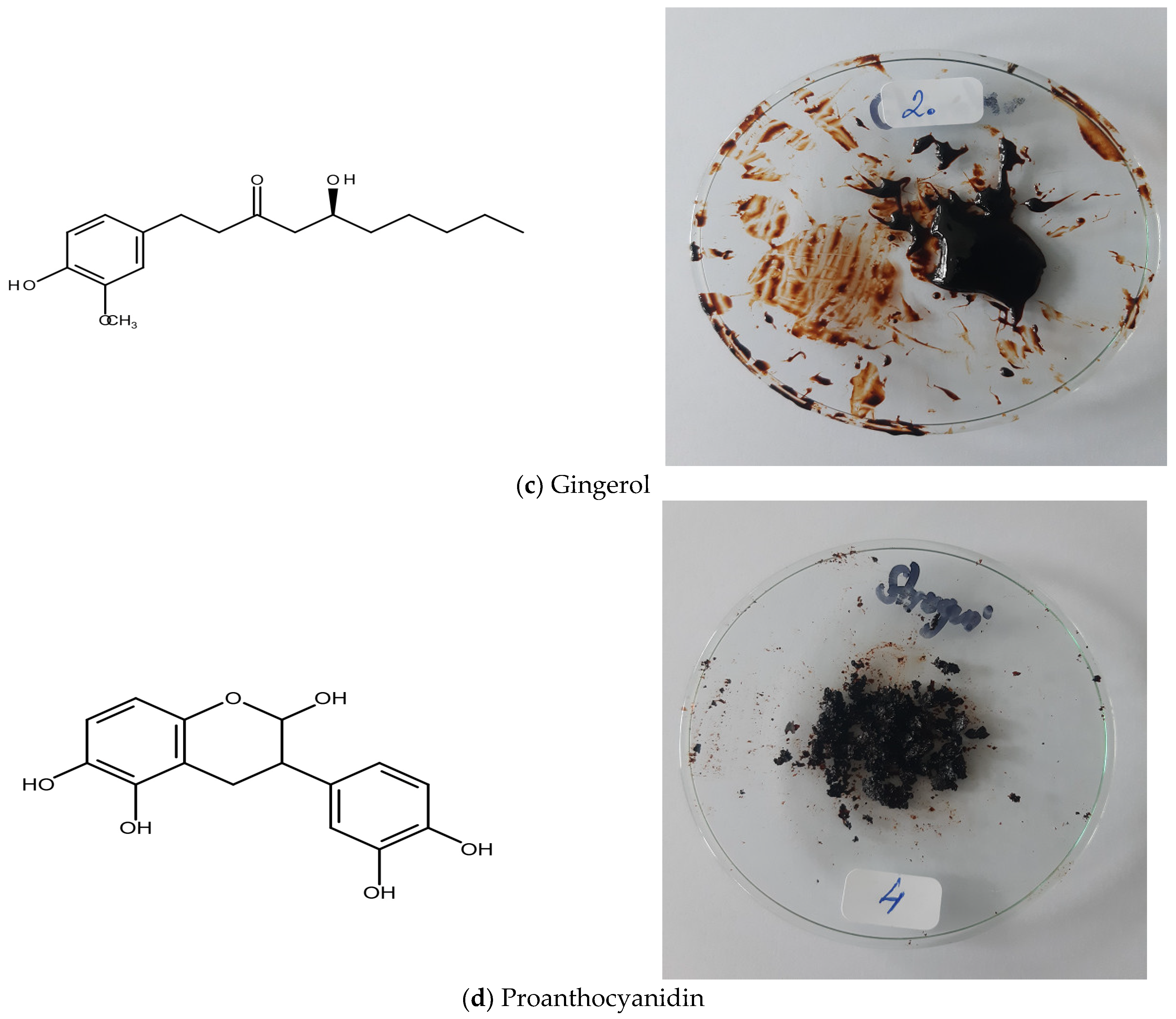 Lubricants 13 00302 g001b