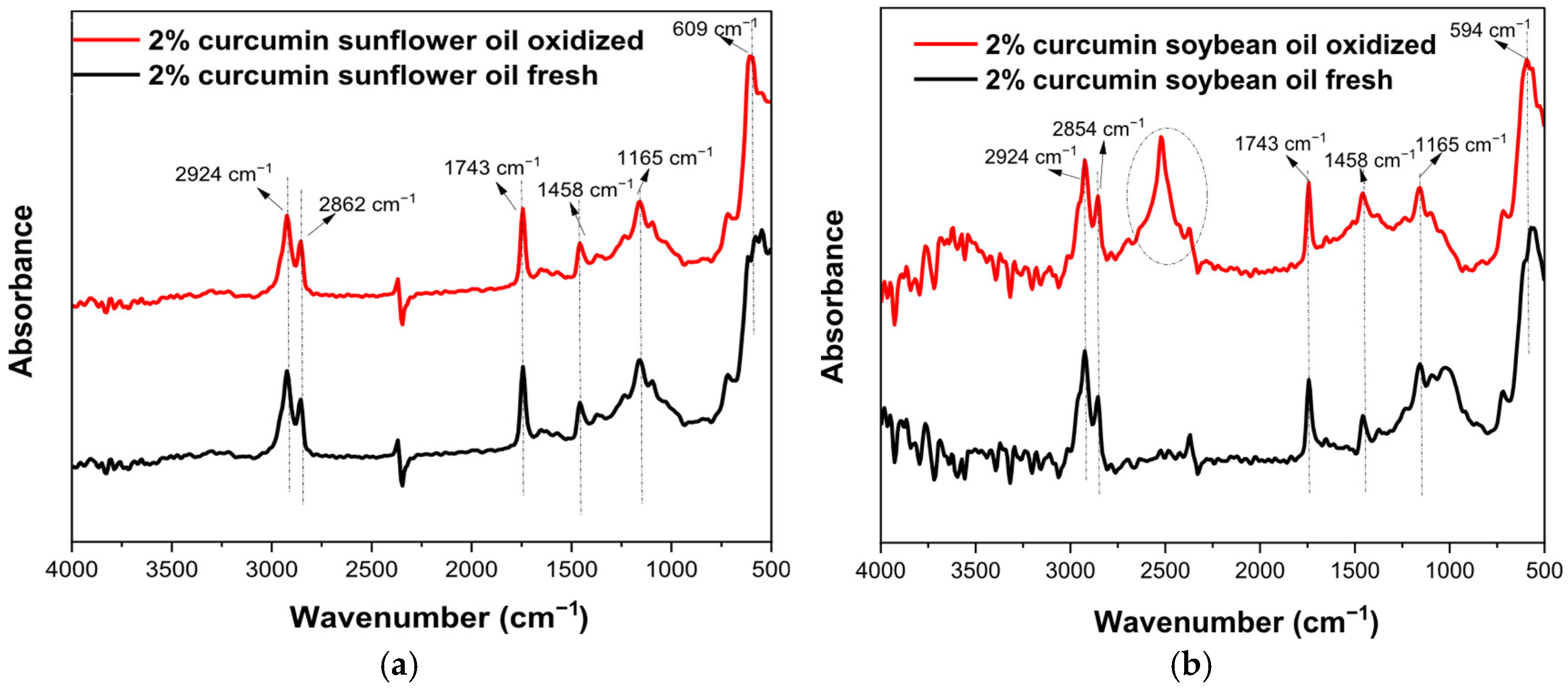 Lubricants 13 00302 g005
