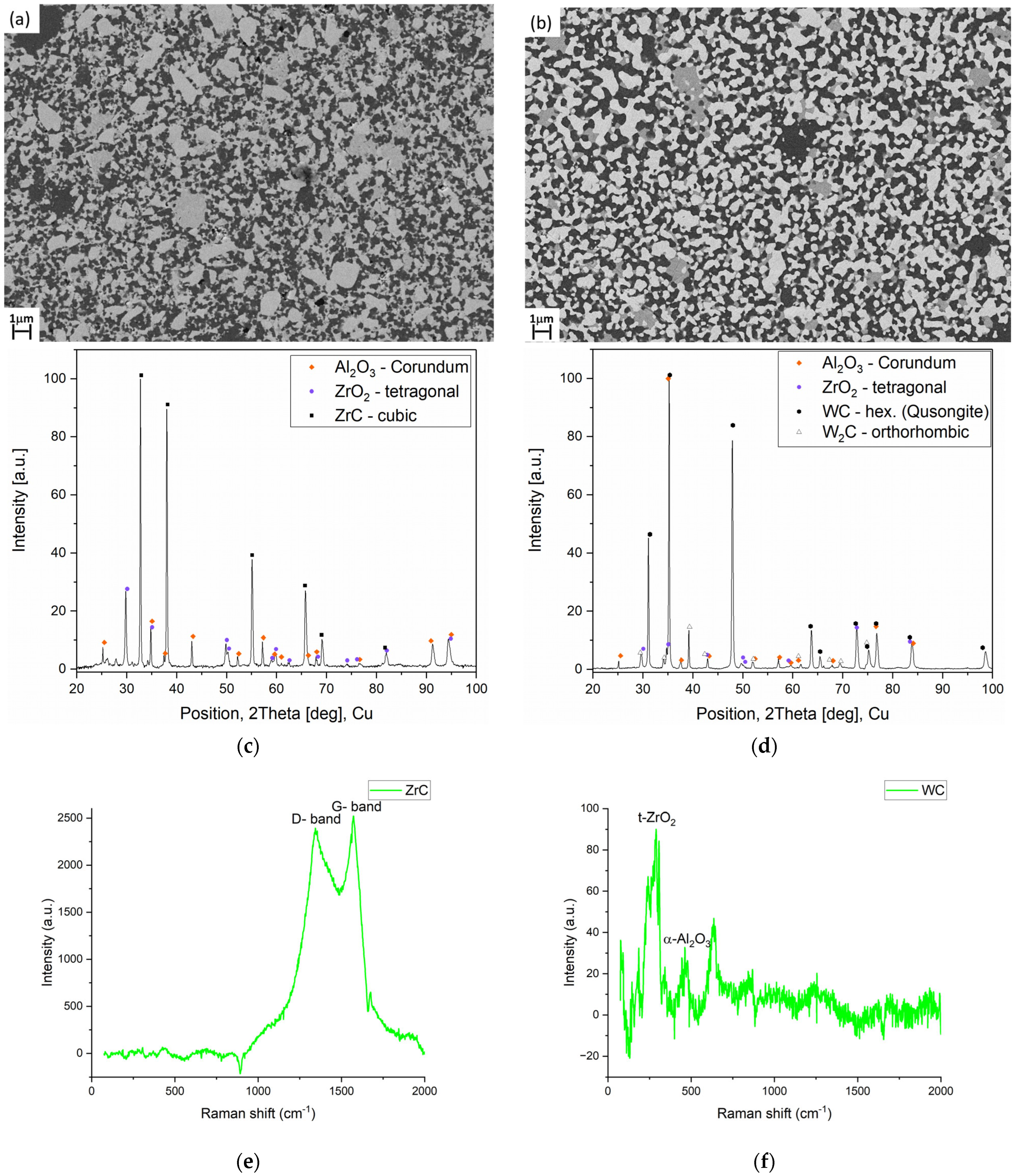 Lubricants 13 00310 g002