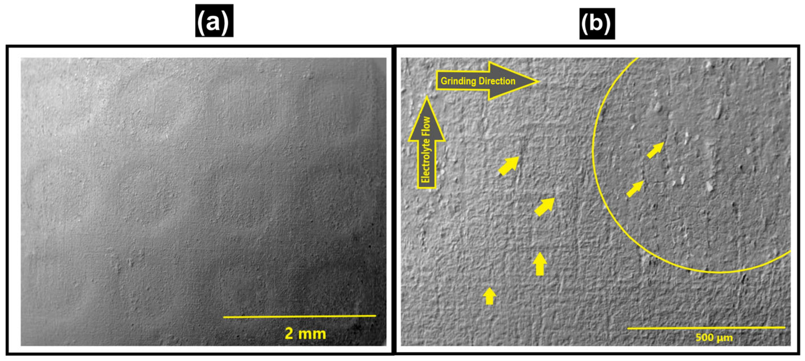 Lubricants 13 00312 g010