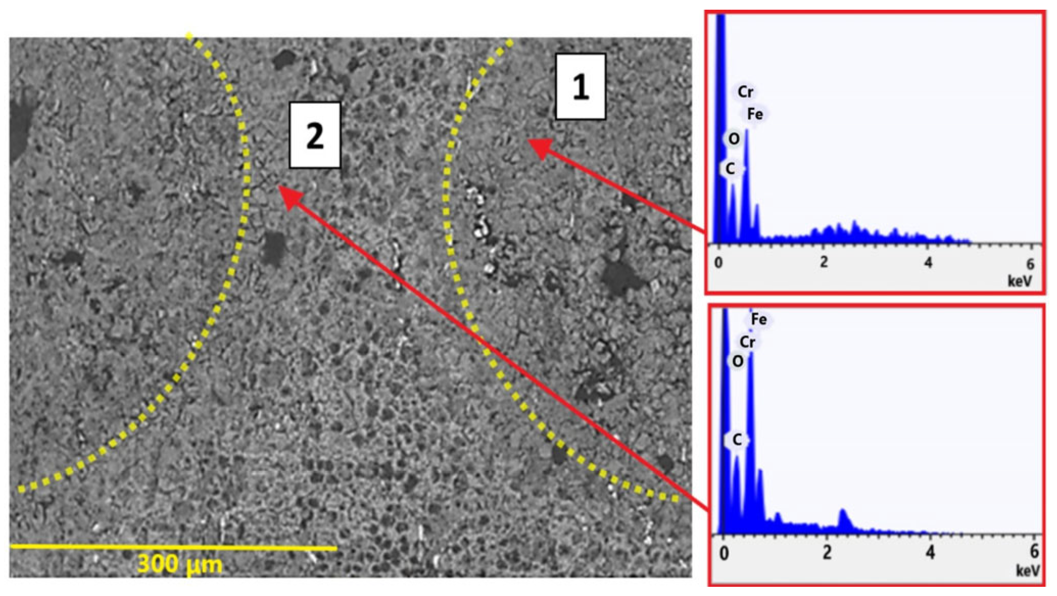 Lubricants 13 00312 g011