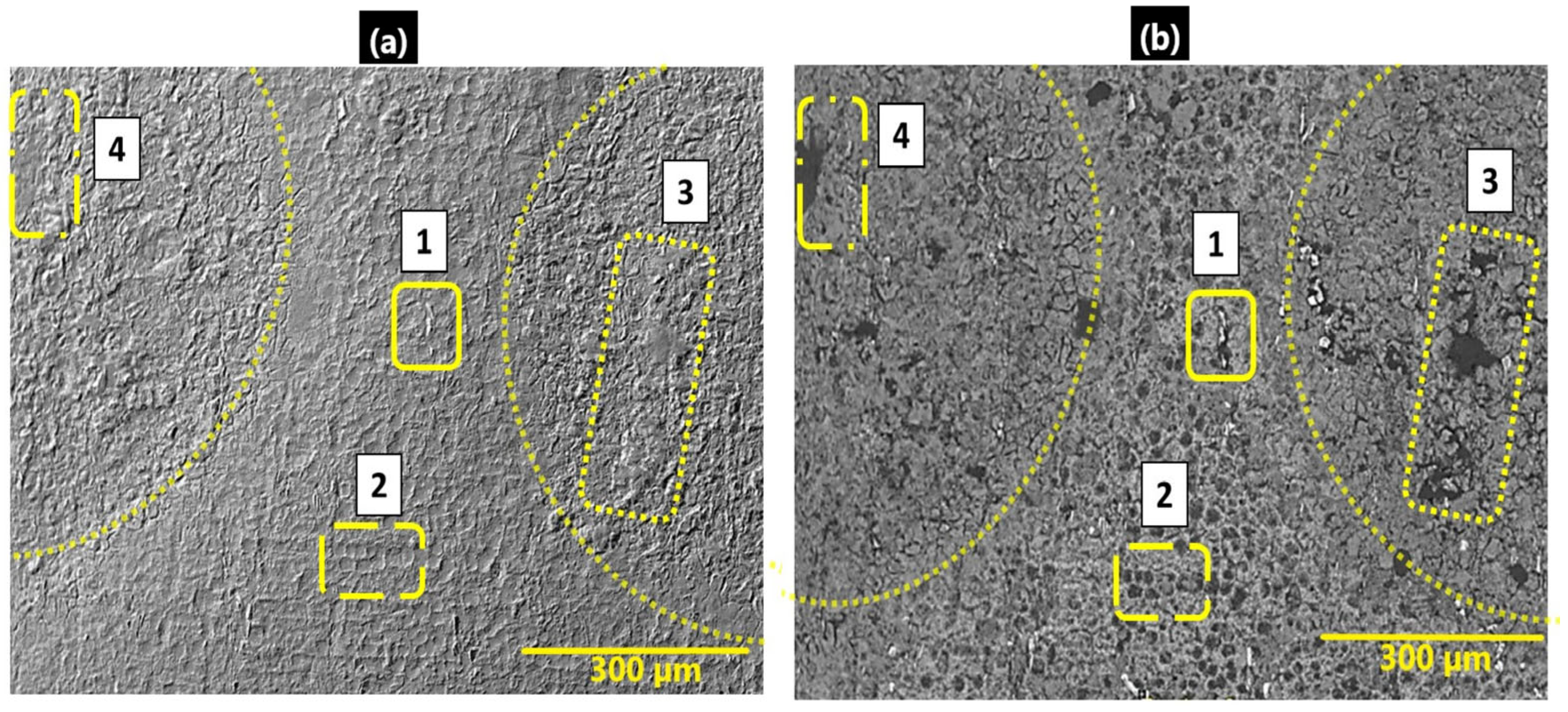 Lubricants 13 00312 g013