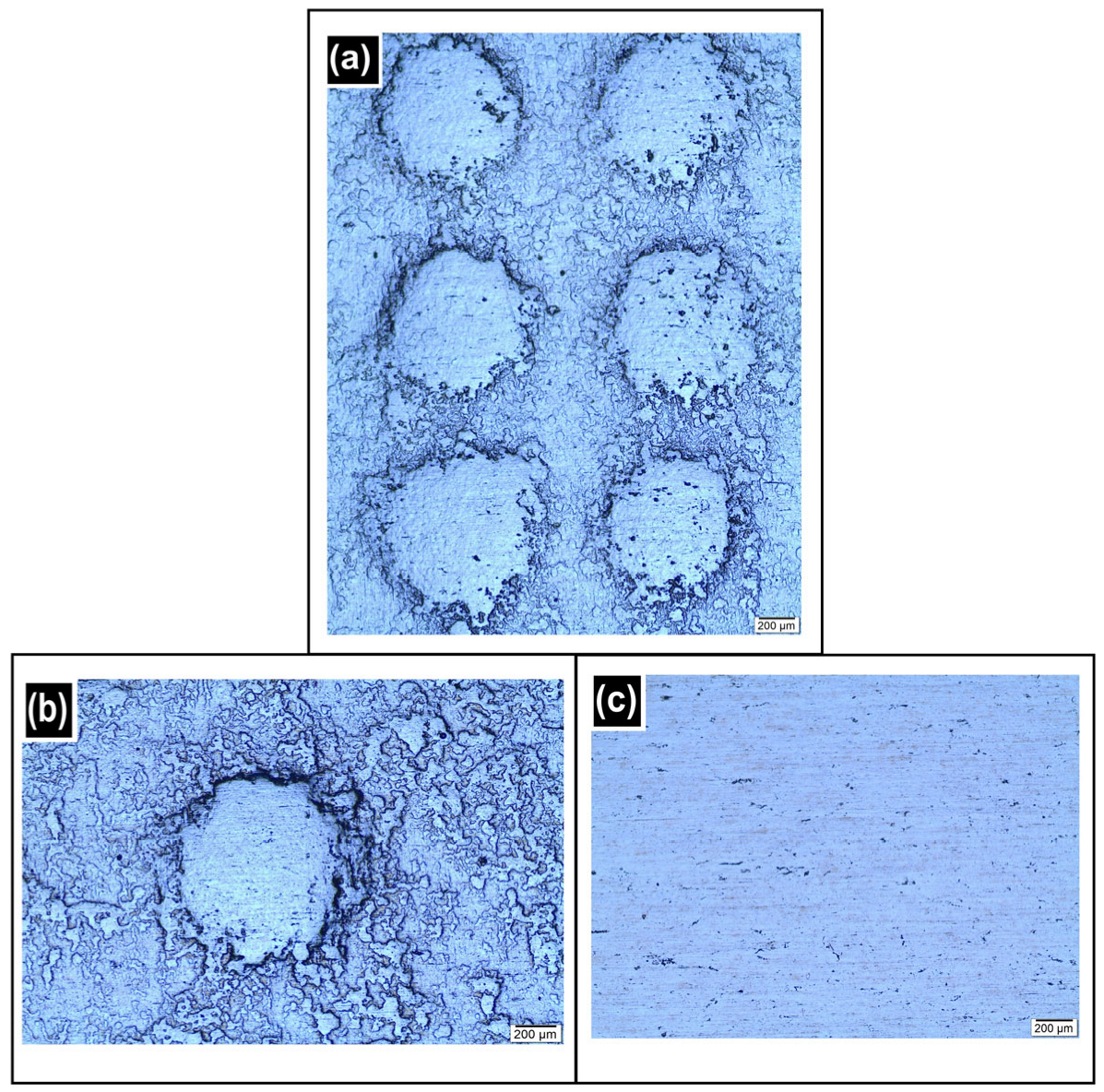 Lubricants 13 00312 g016