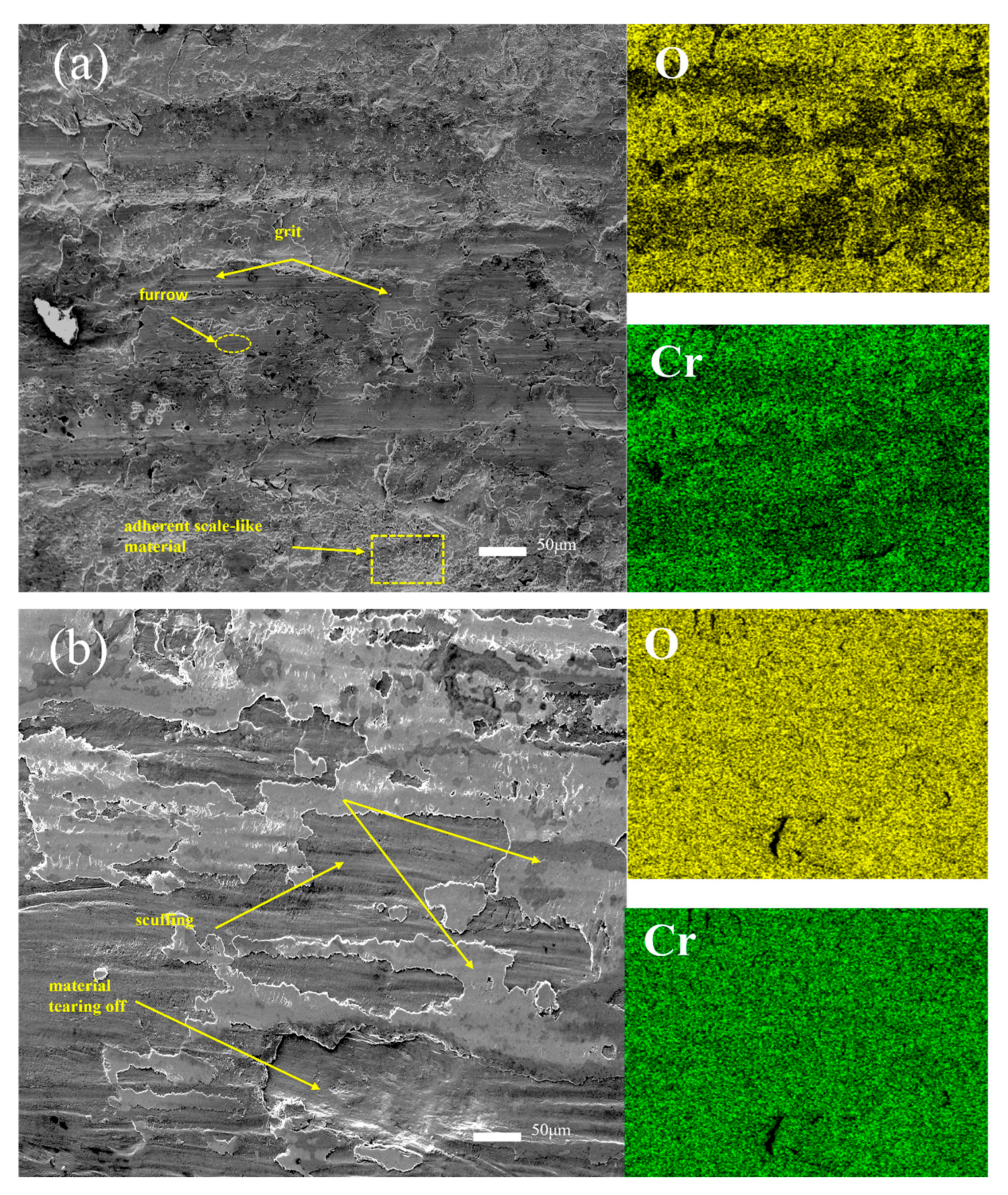 Lubricants 13 00313 g012