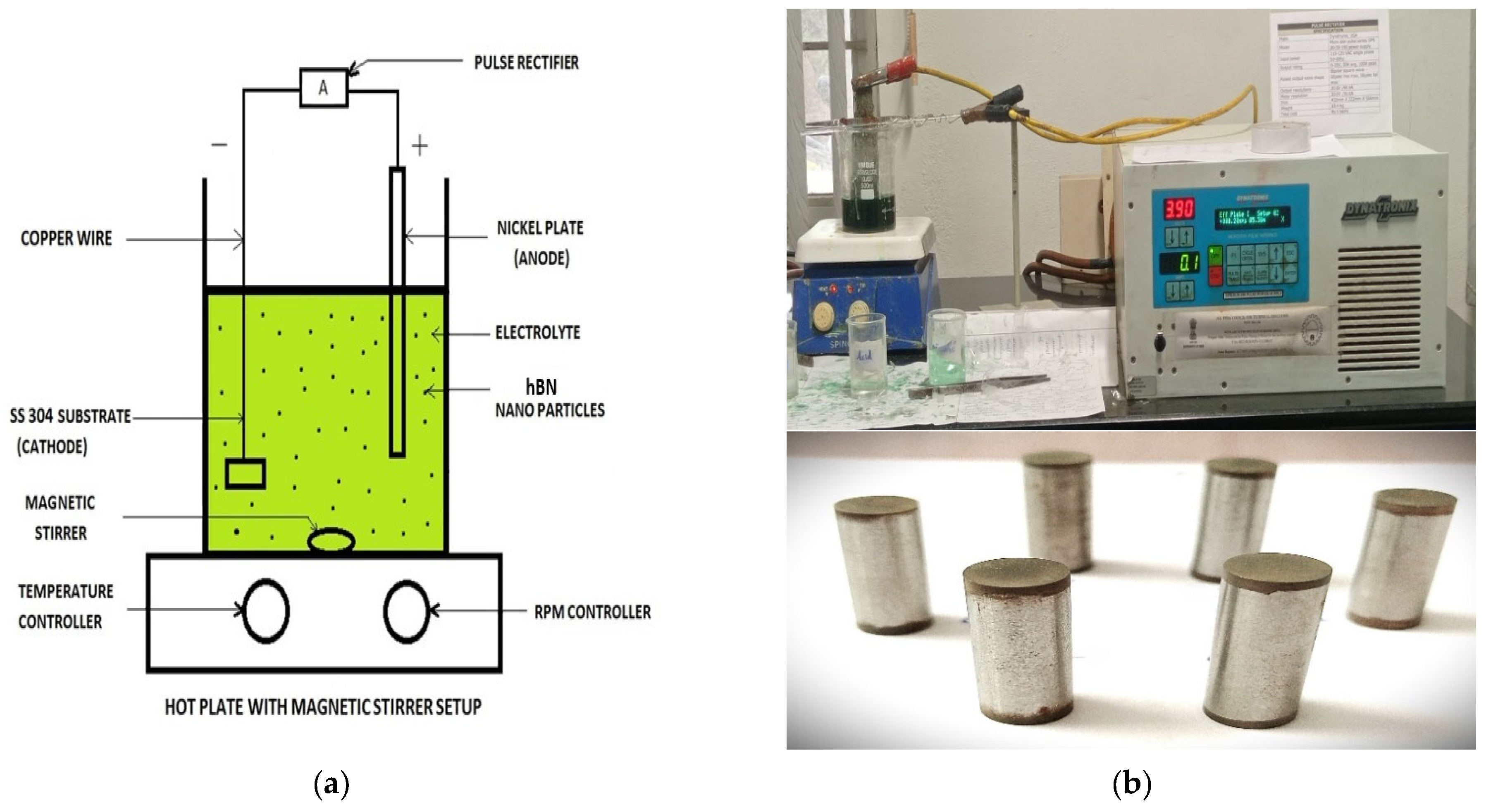 Lubricants 13 00318 g001