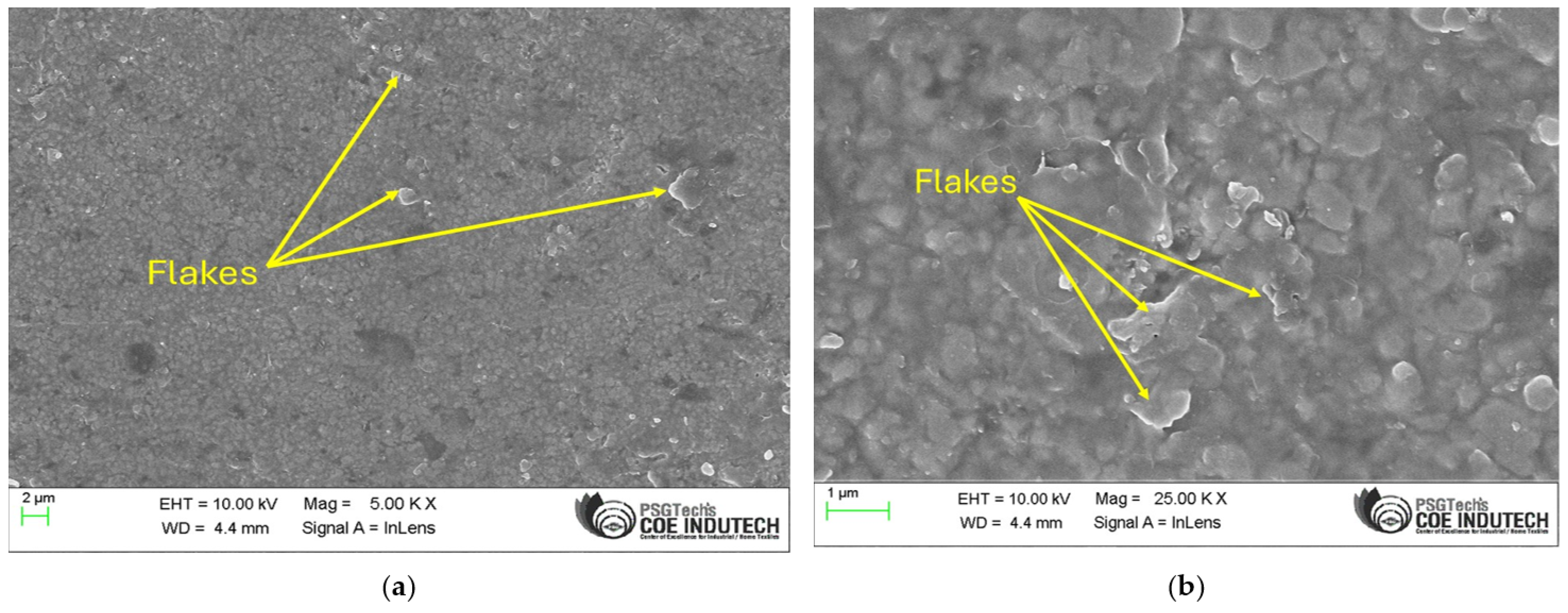 Lubricants 13 00318 g002a