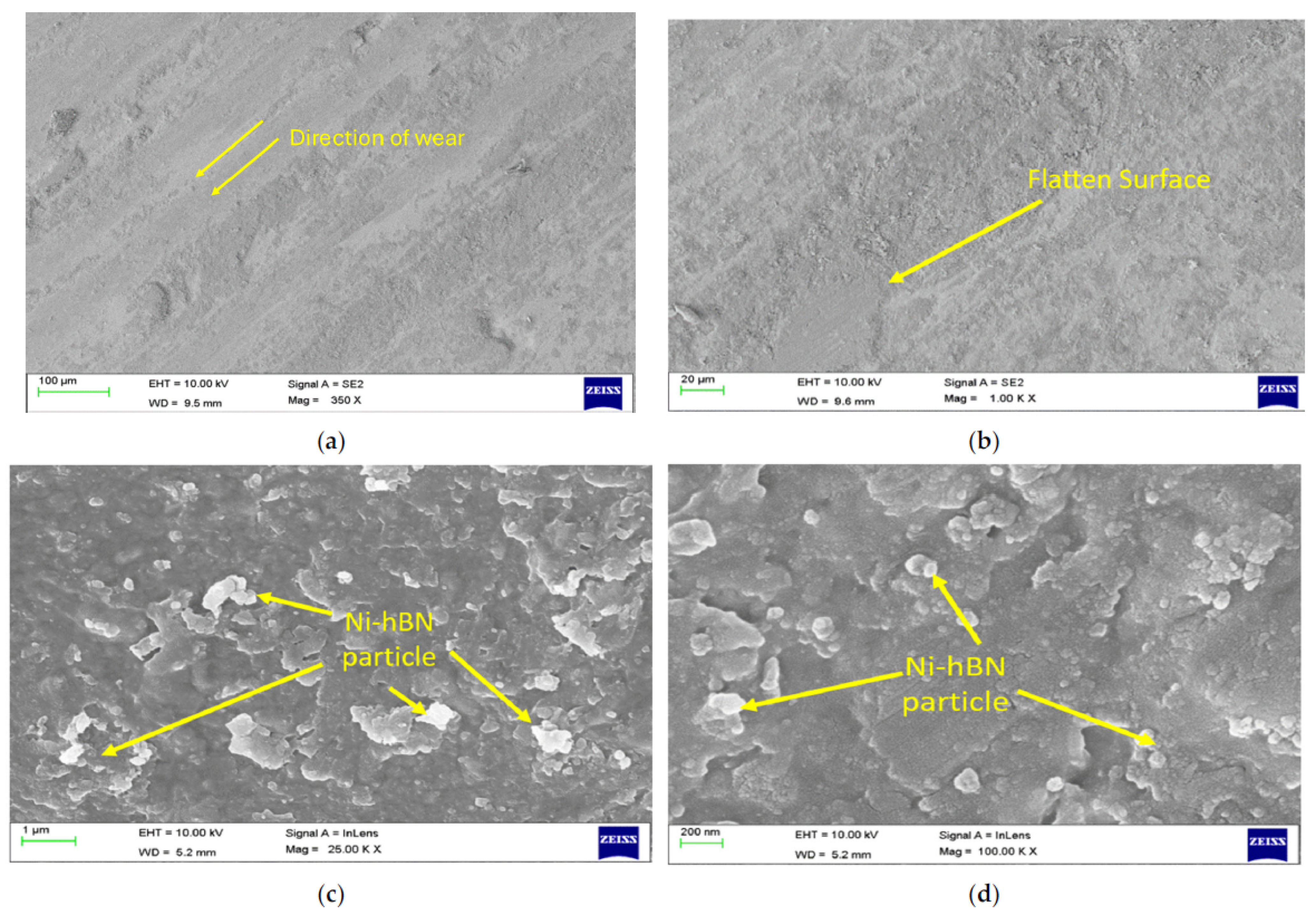 Lubricants 13 00318 g005a