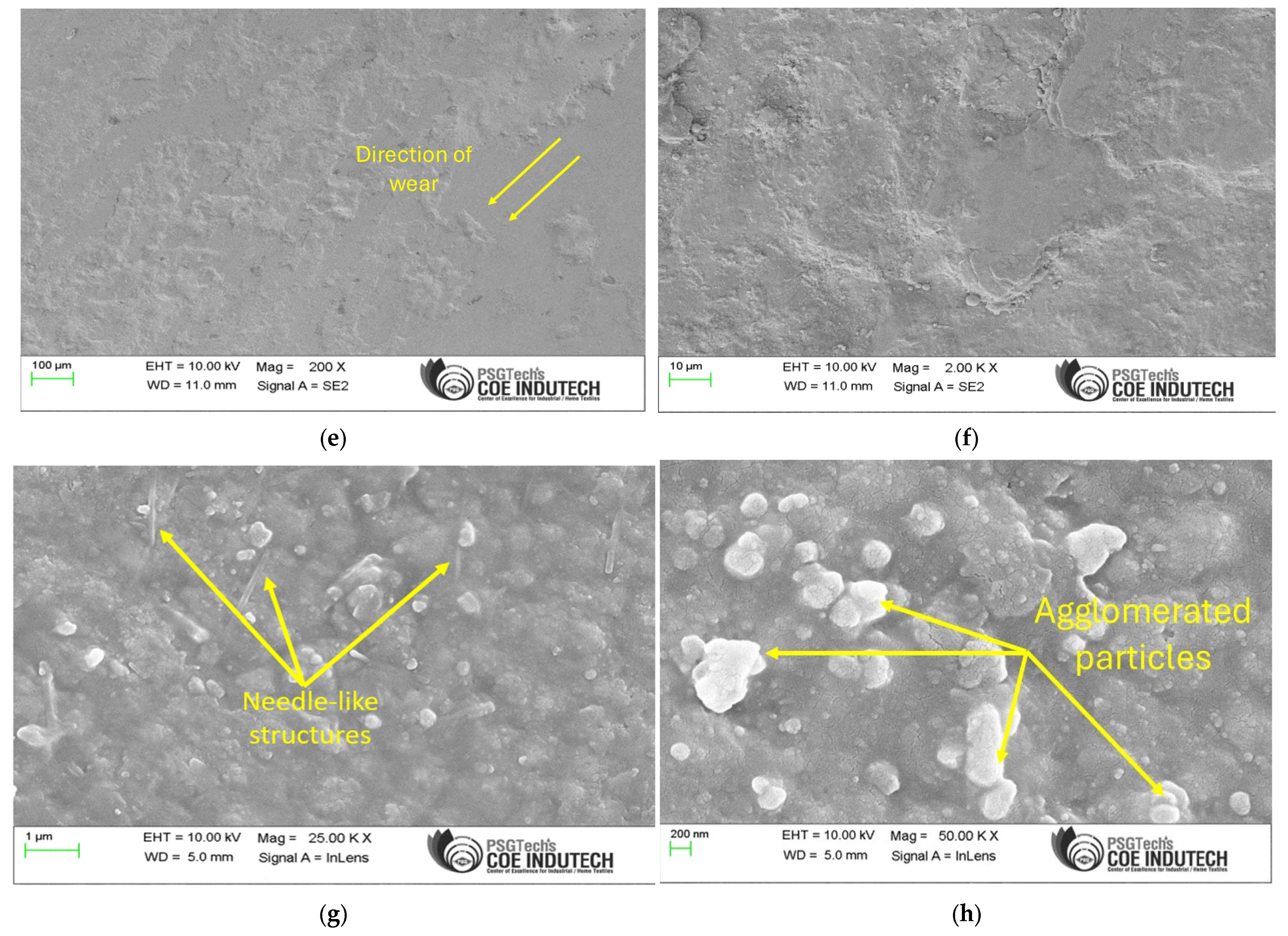 Lubricants 13 00318 g005b