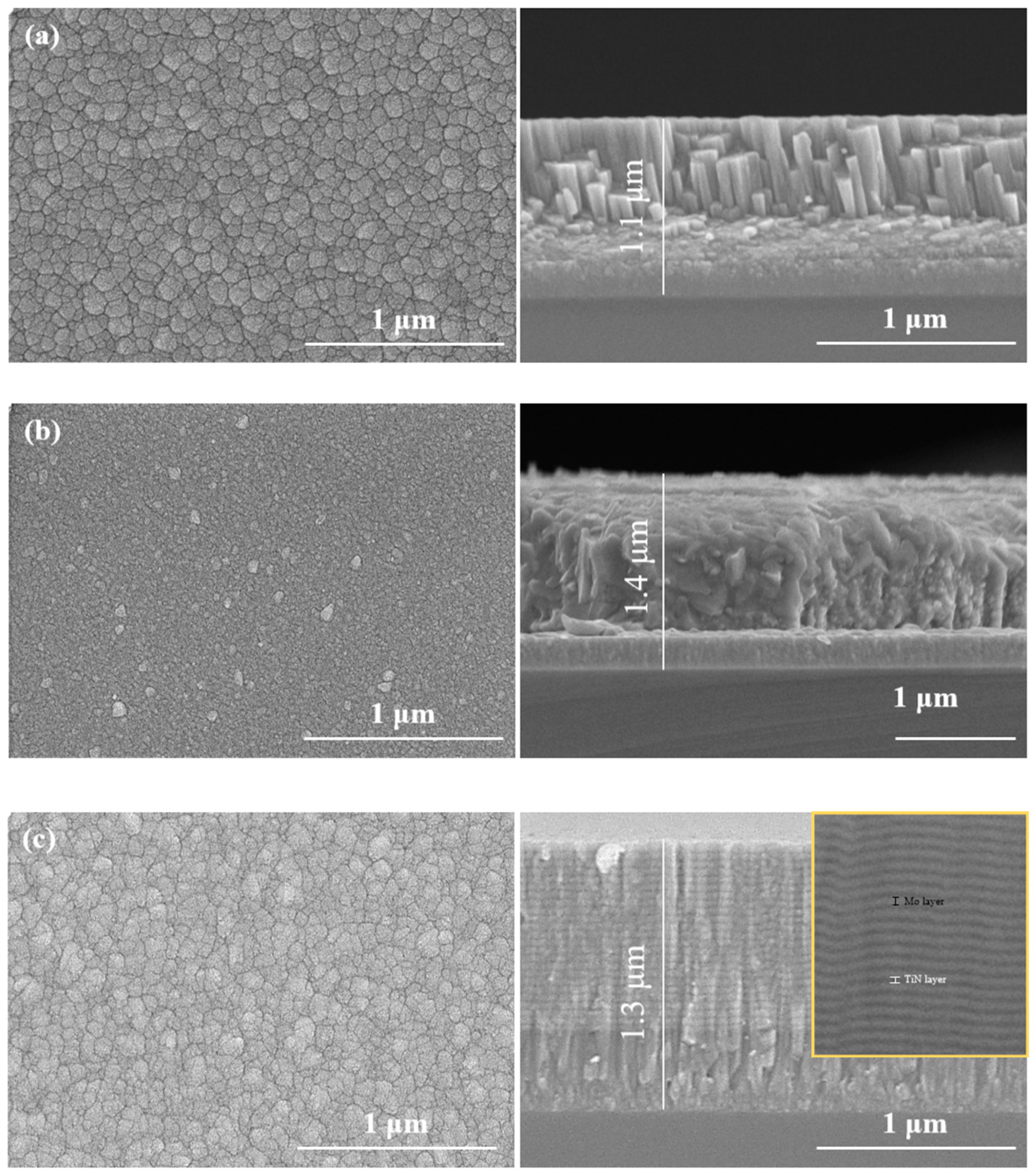 Lubricants 13 00319 g001