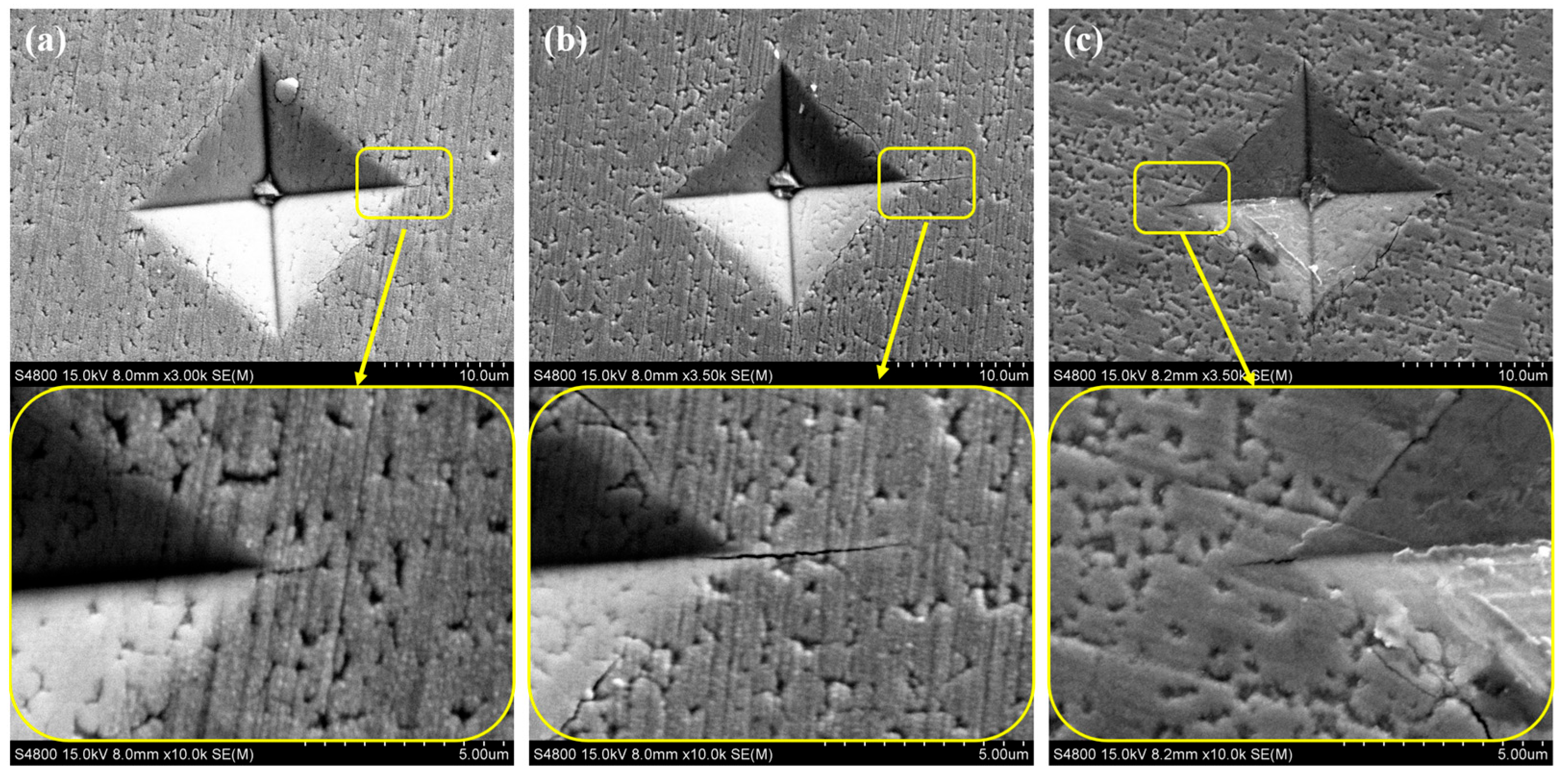 Lubricants 13 00319 g003