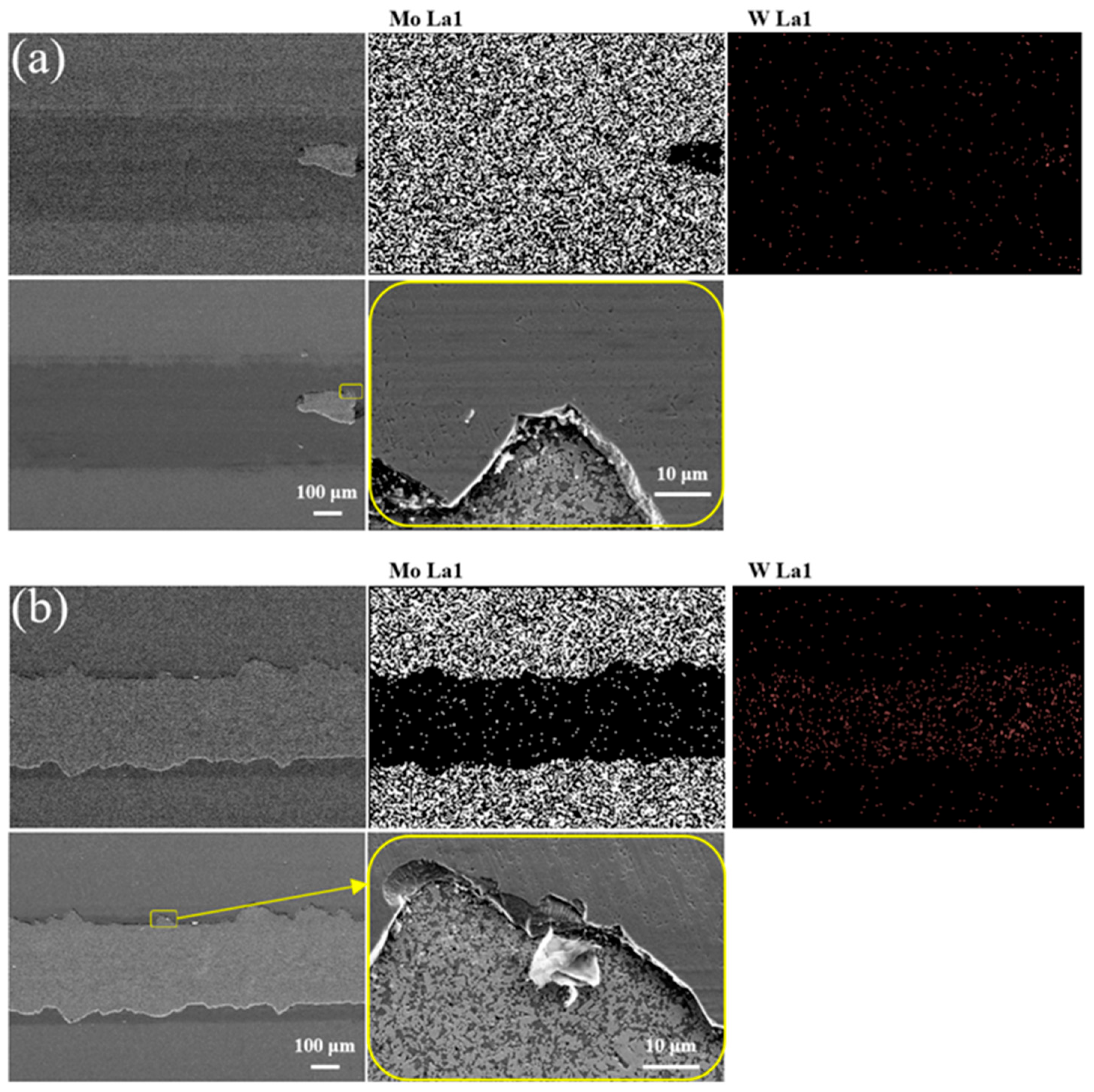 Lubricants 13 00319 g008