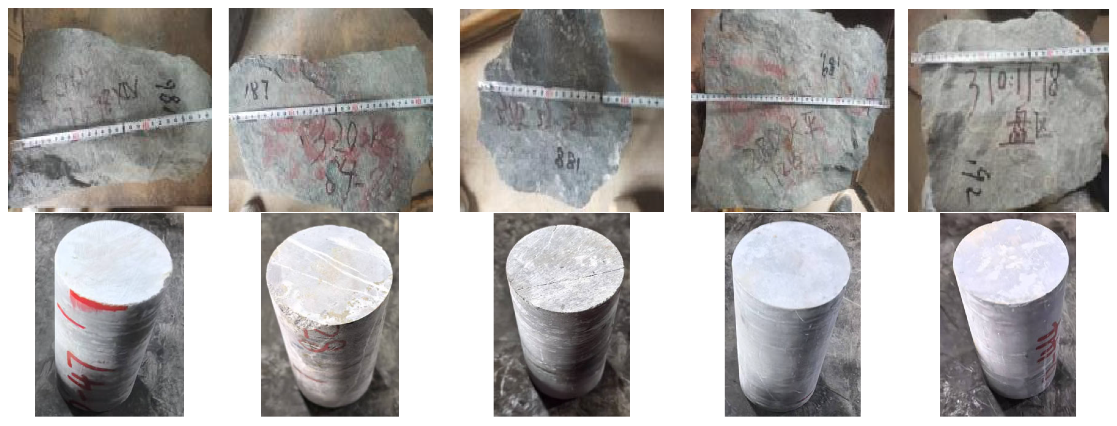 Lubricants 13 00321 g001