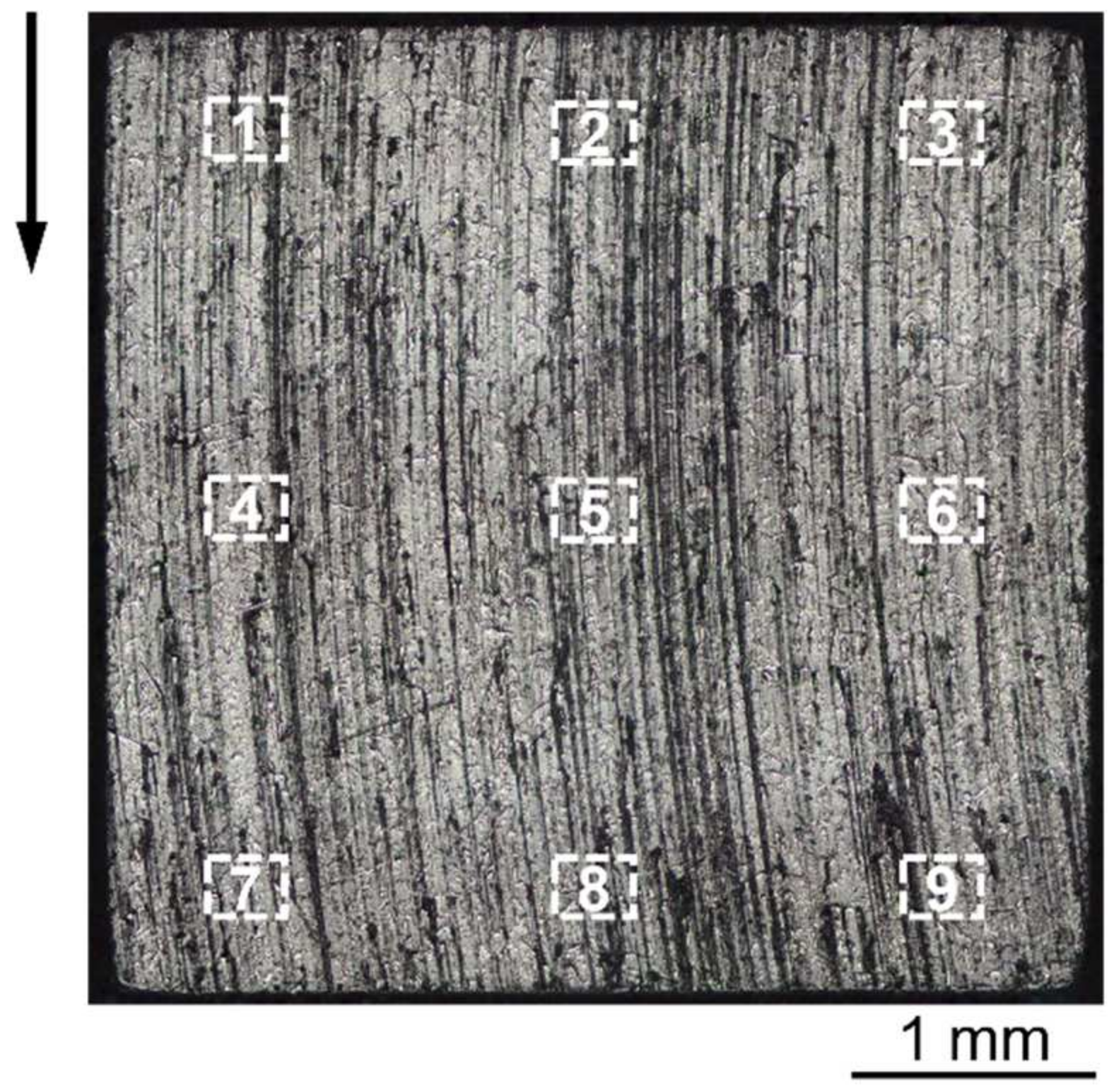 Lubricants 13 00324 g003