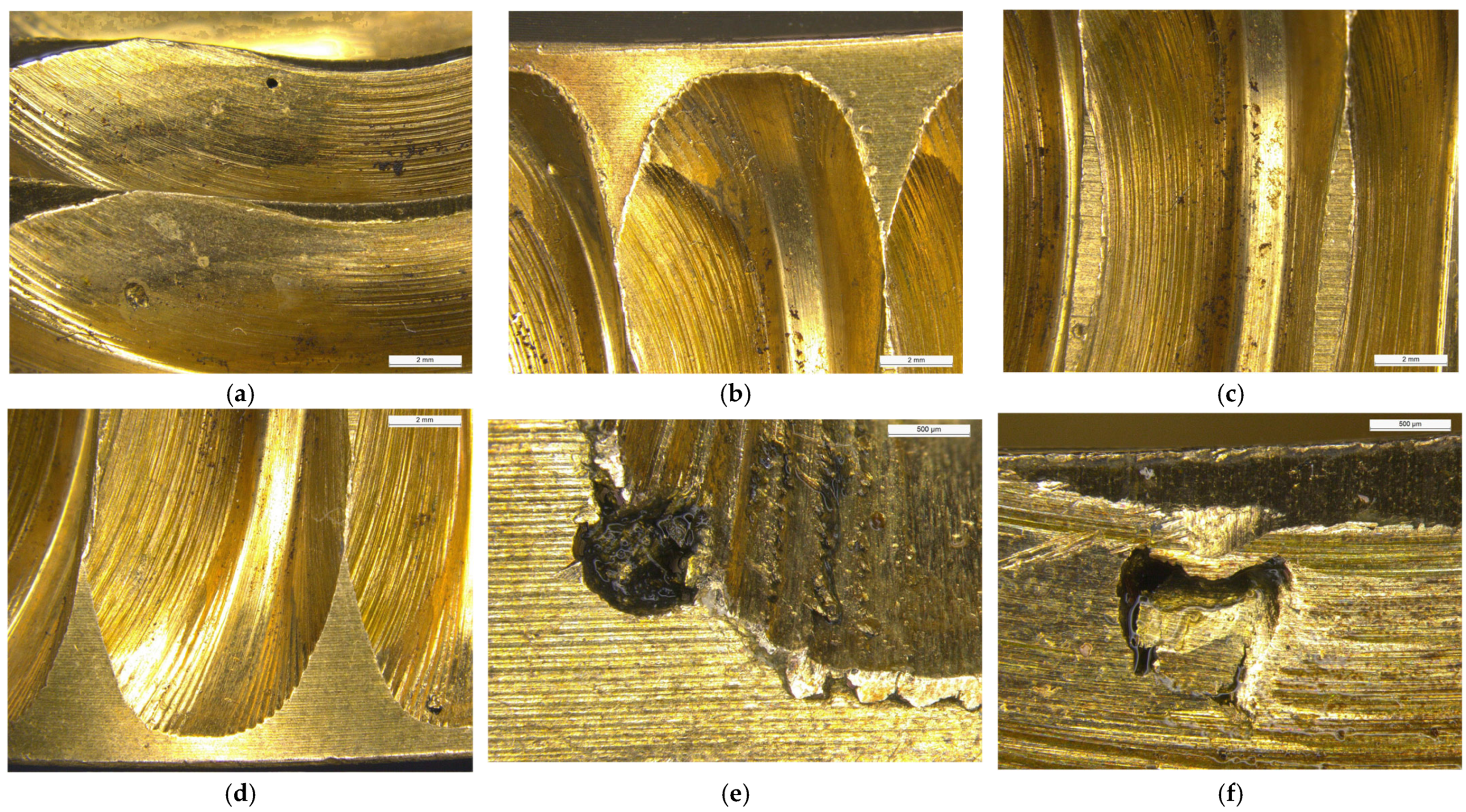Lubricants 13 00327 g005