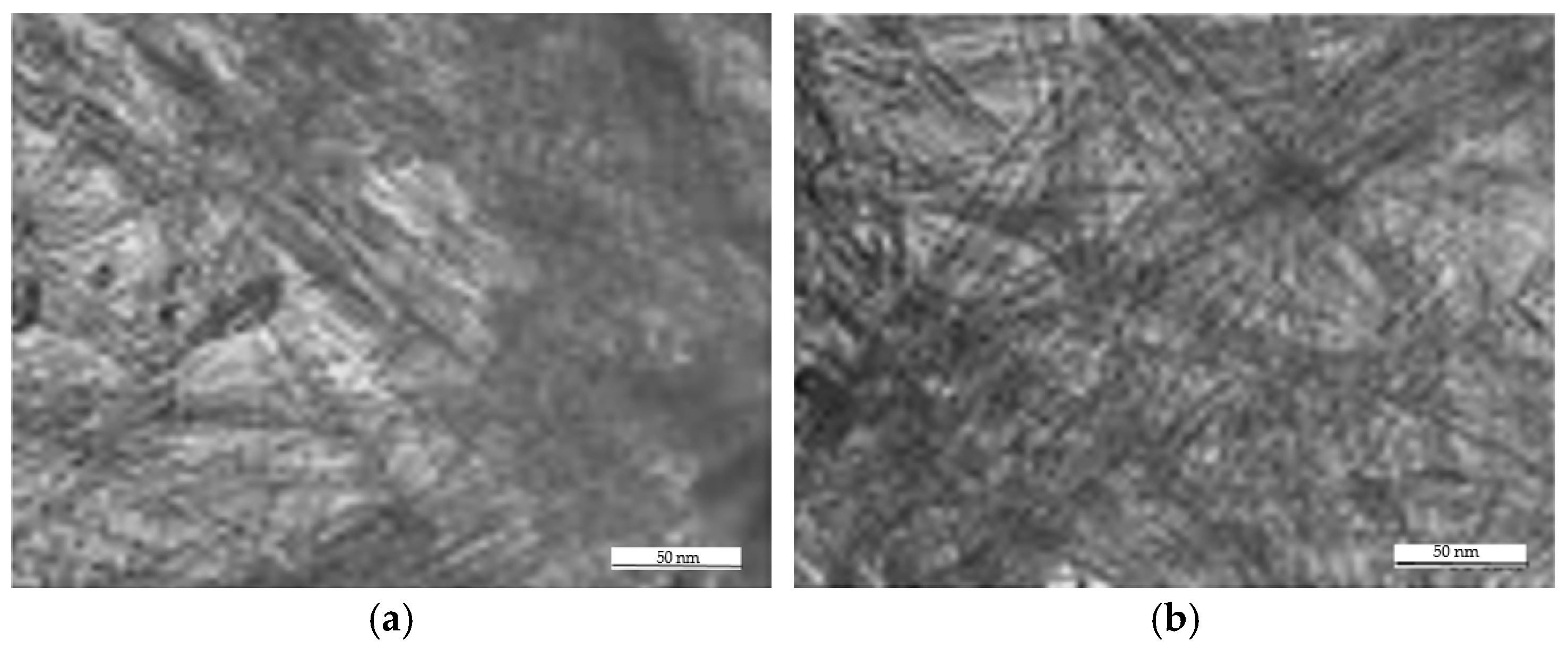 Lubricants 13 00327 g006