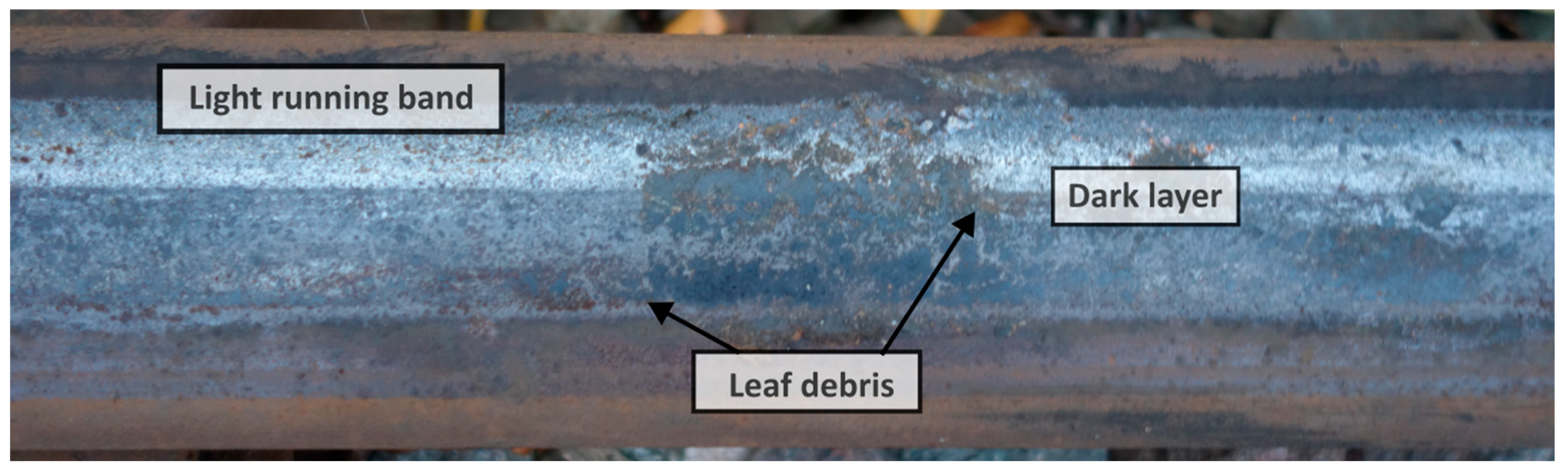 Lubricants 13 00329 g001