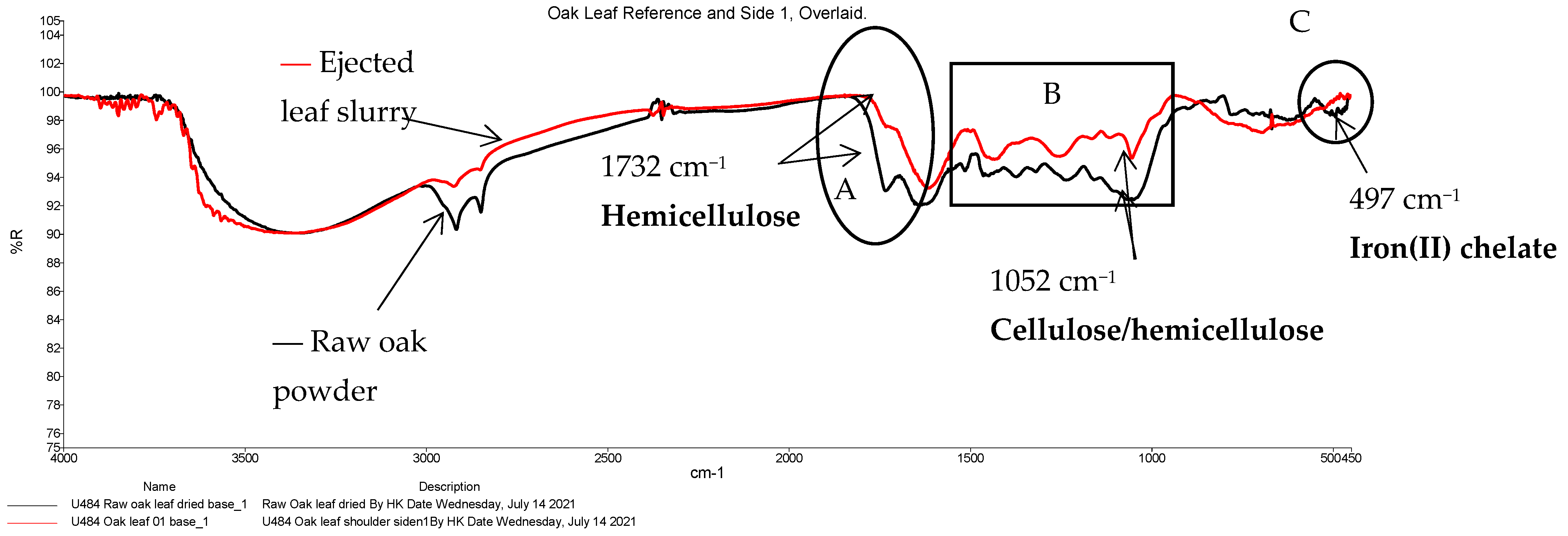 Lubricants 13 00329 g004