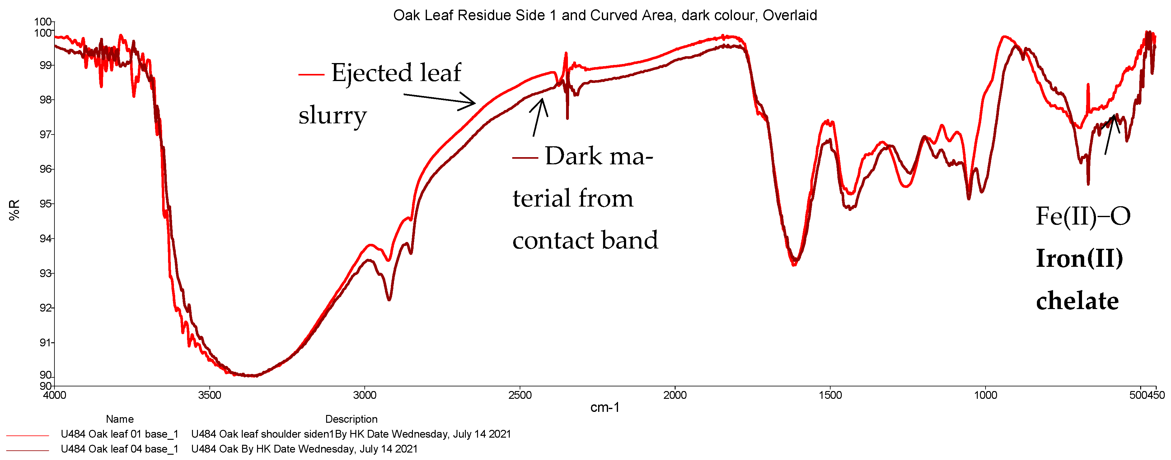 Lubricants 13 00329 g005
