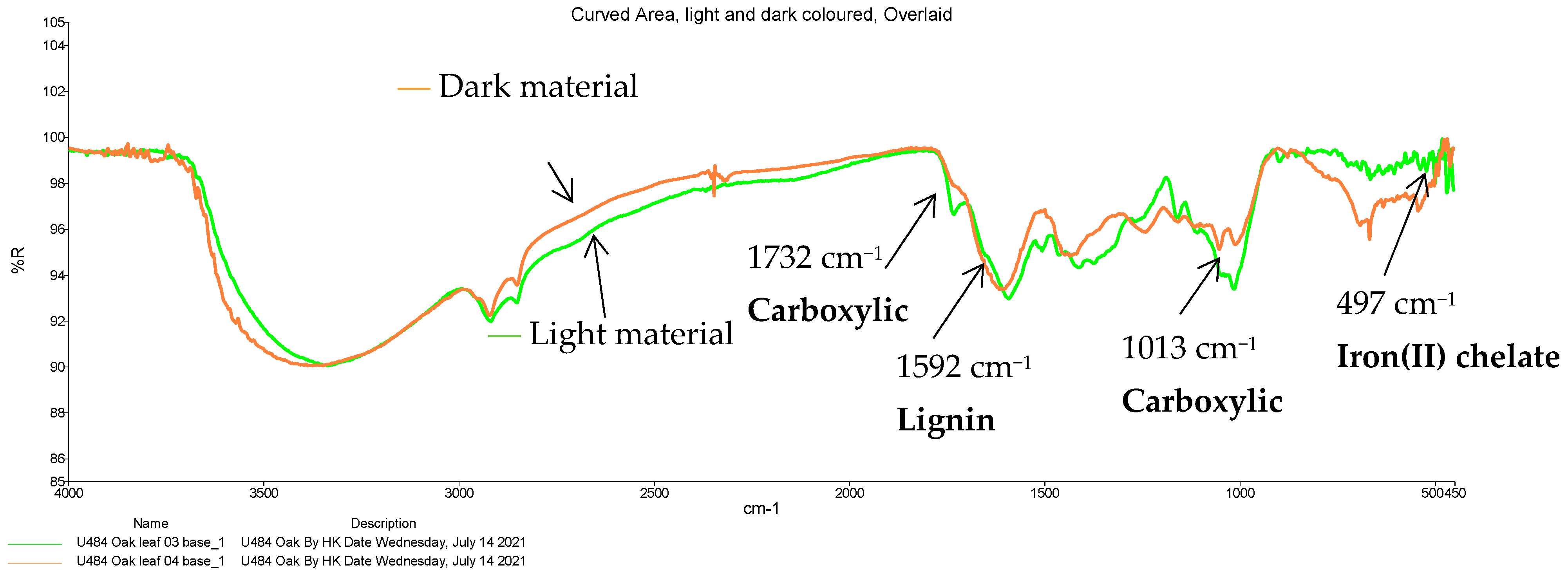 Lubricants 13 00329 g006