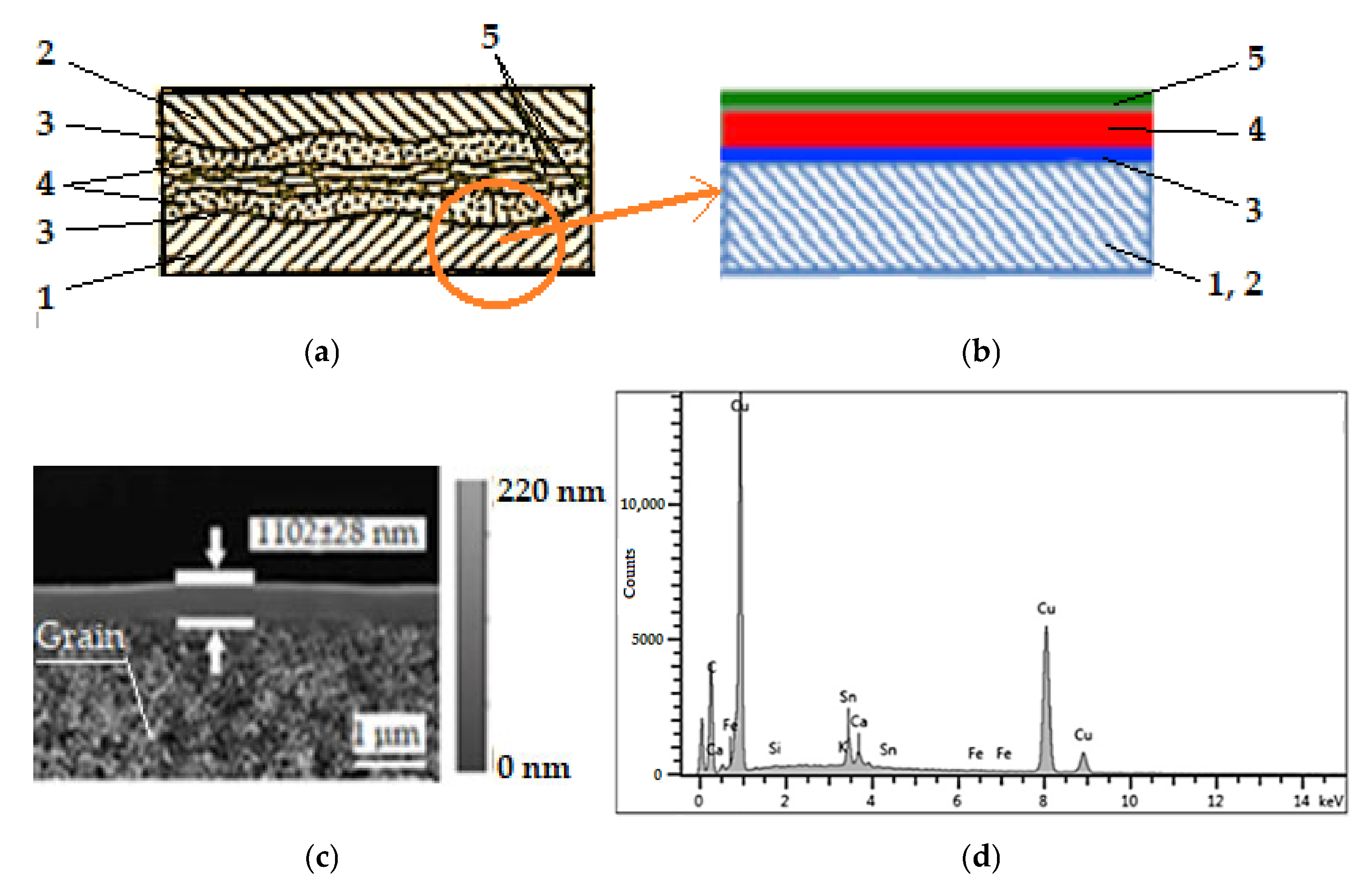 Lubricants 13 00331 g003