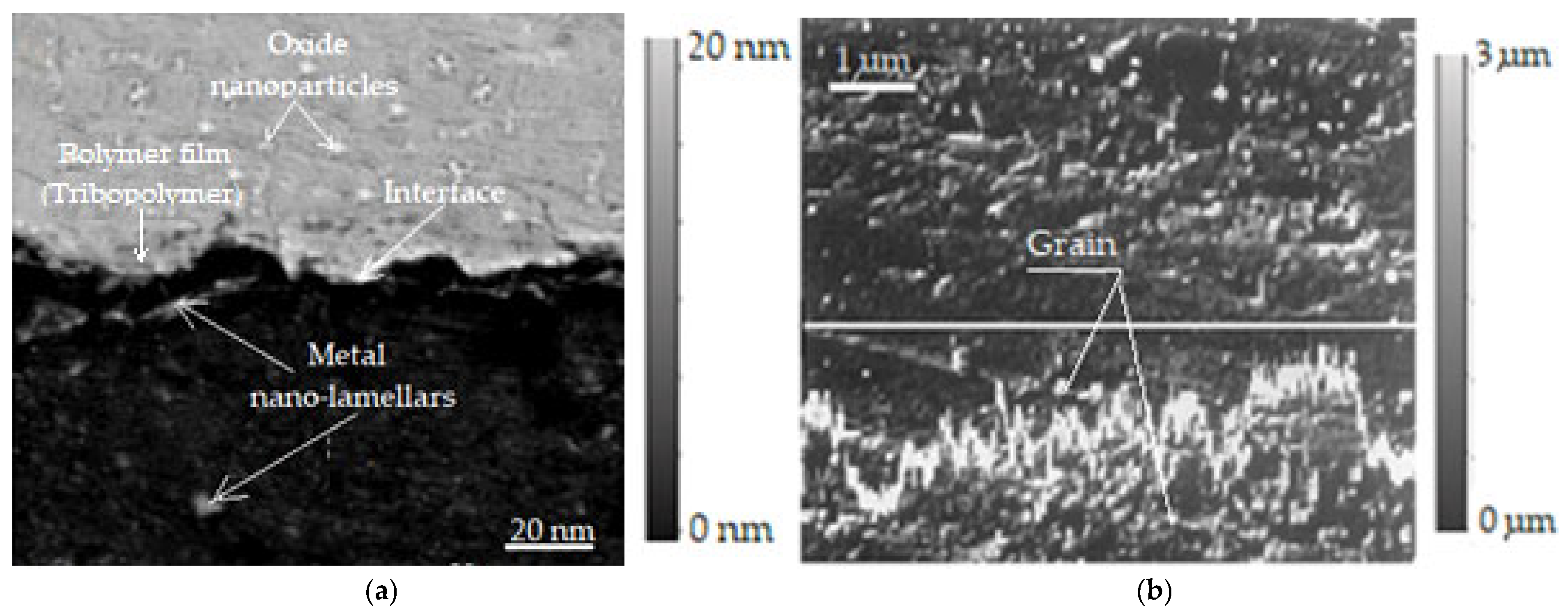 Lubricants 13 00331 g004